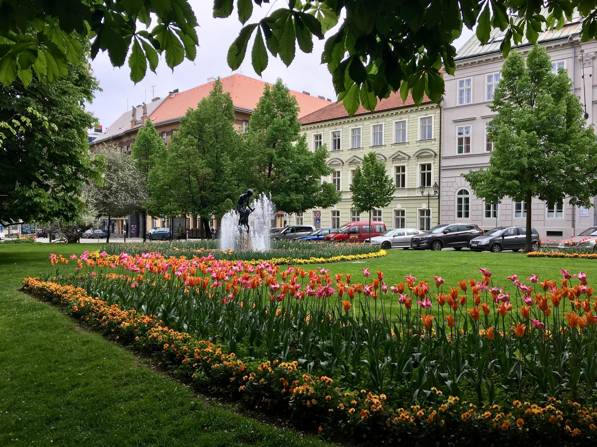 🇨🇿 Пльзень, Чехия, май 2017.