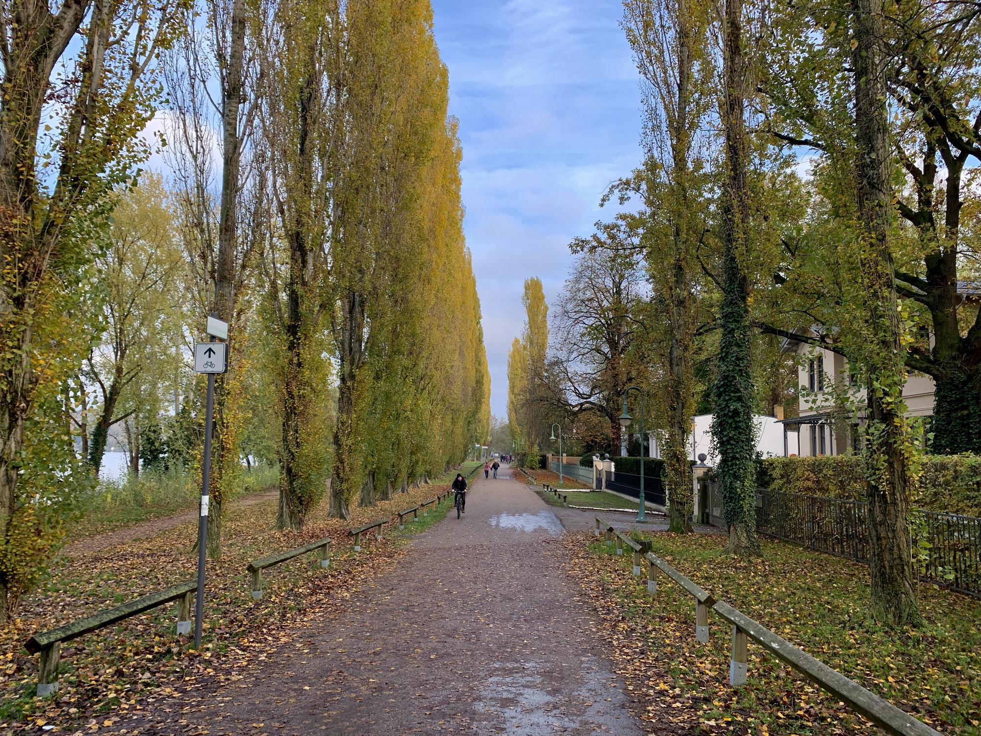 🇩🇪 Potsdam, Germany, November 2019.