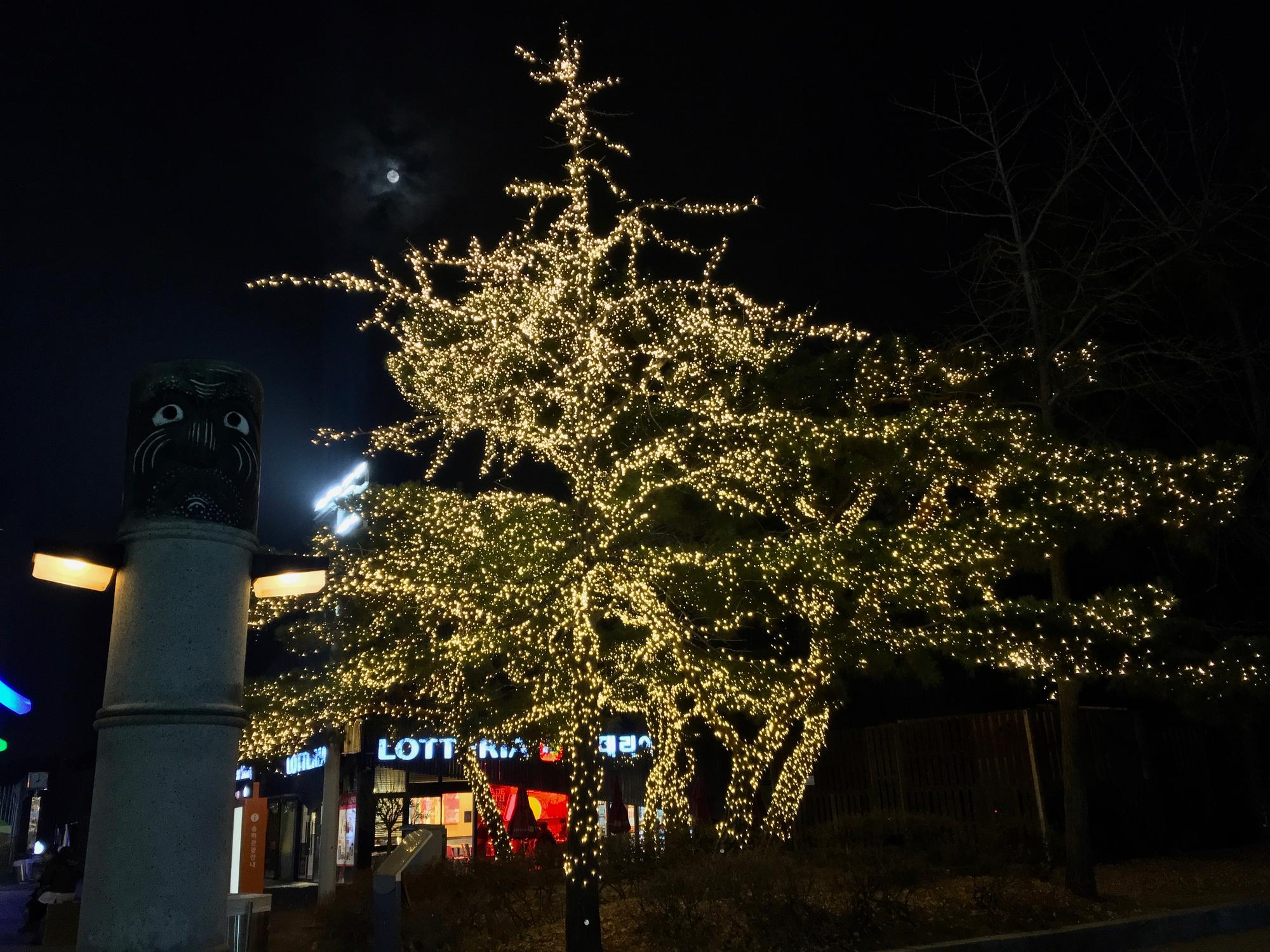 🇰🇷 Сеул, Южная Корея, декабрь 2018.