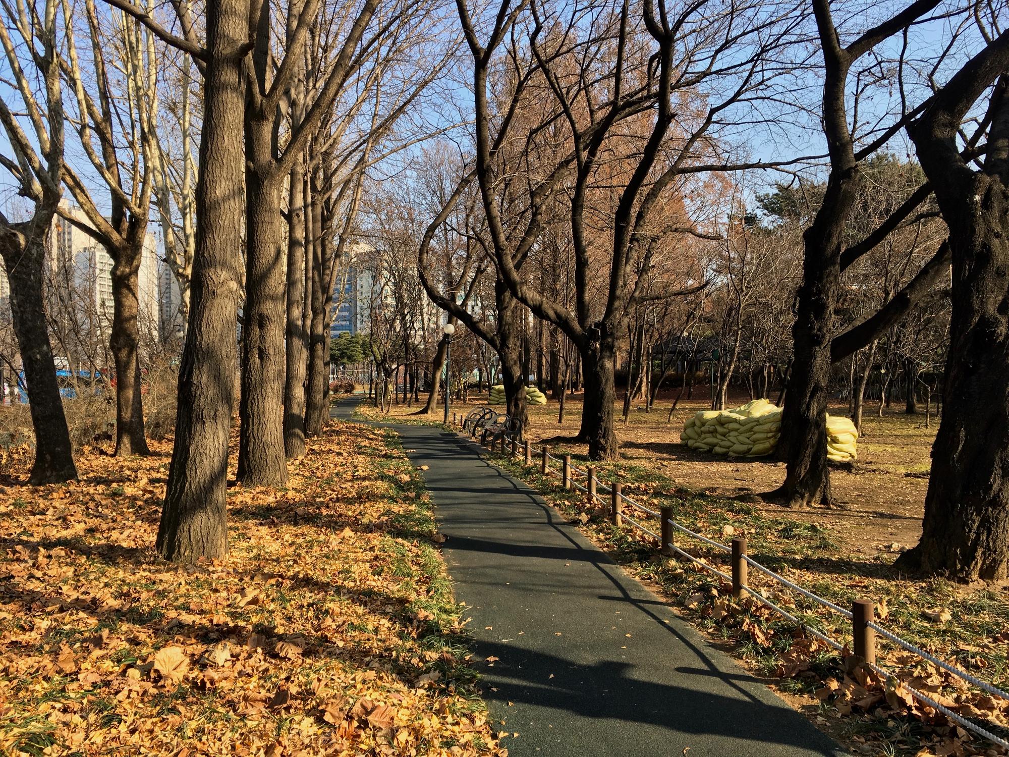 🇰🇷 Сеул, Южная Корея, декабрь 2018.