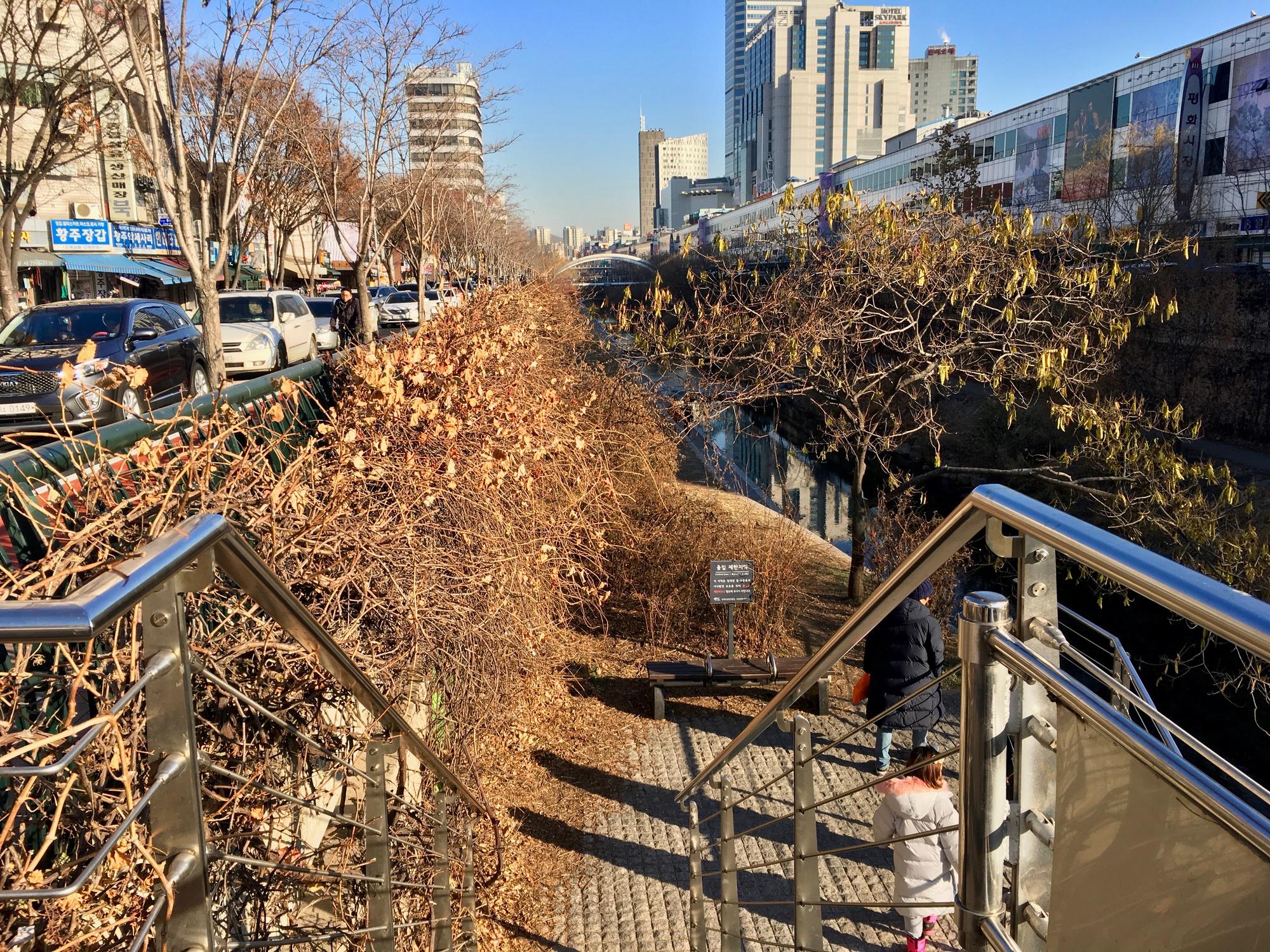 🇰🇷 Seoul, South Korea, December 2018.