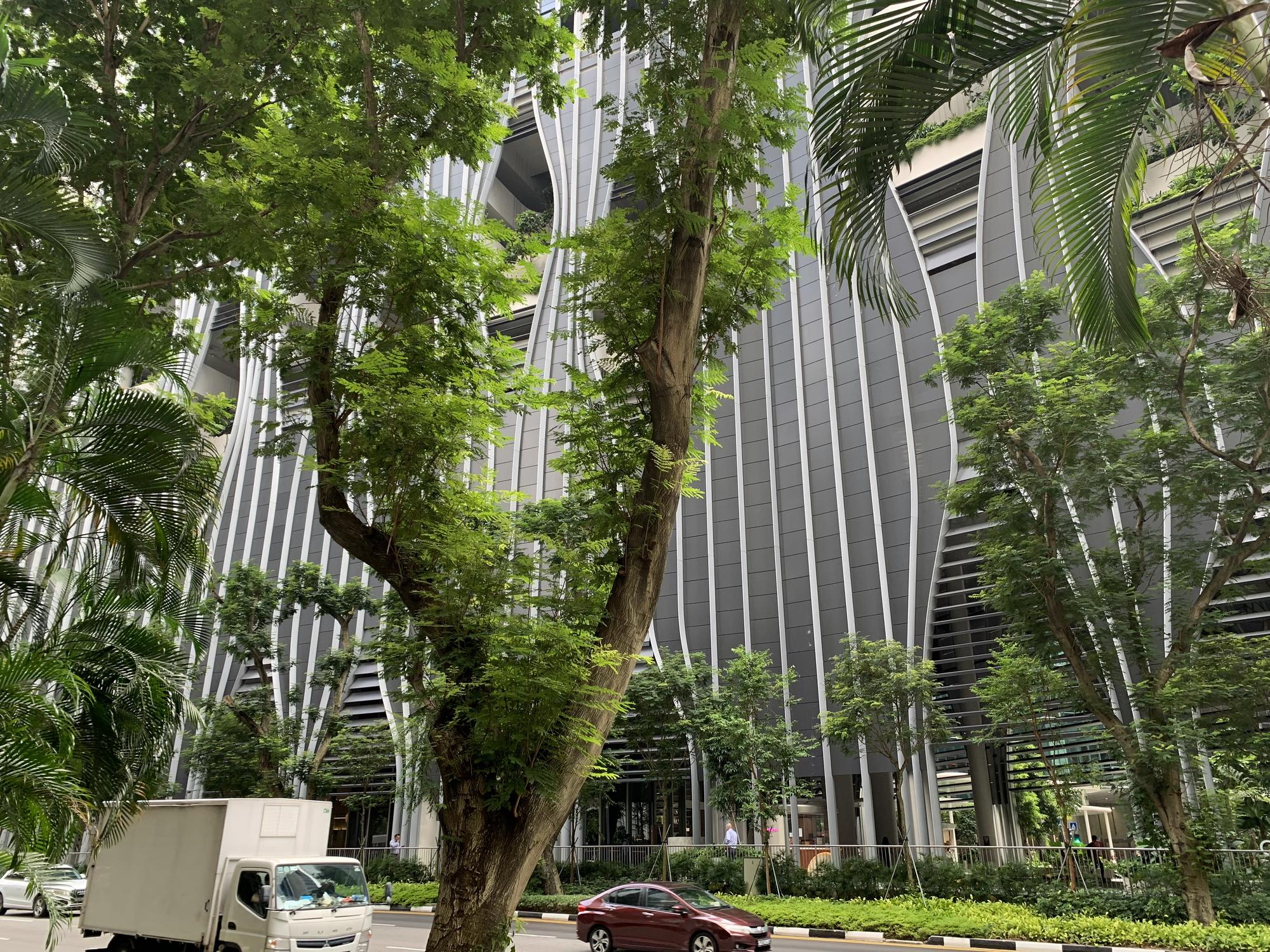 🇸🇬 Сингапур, Сингапур, август 2023.