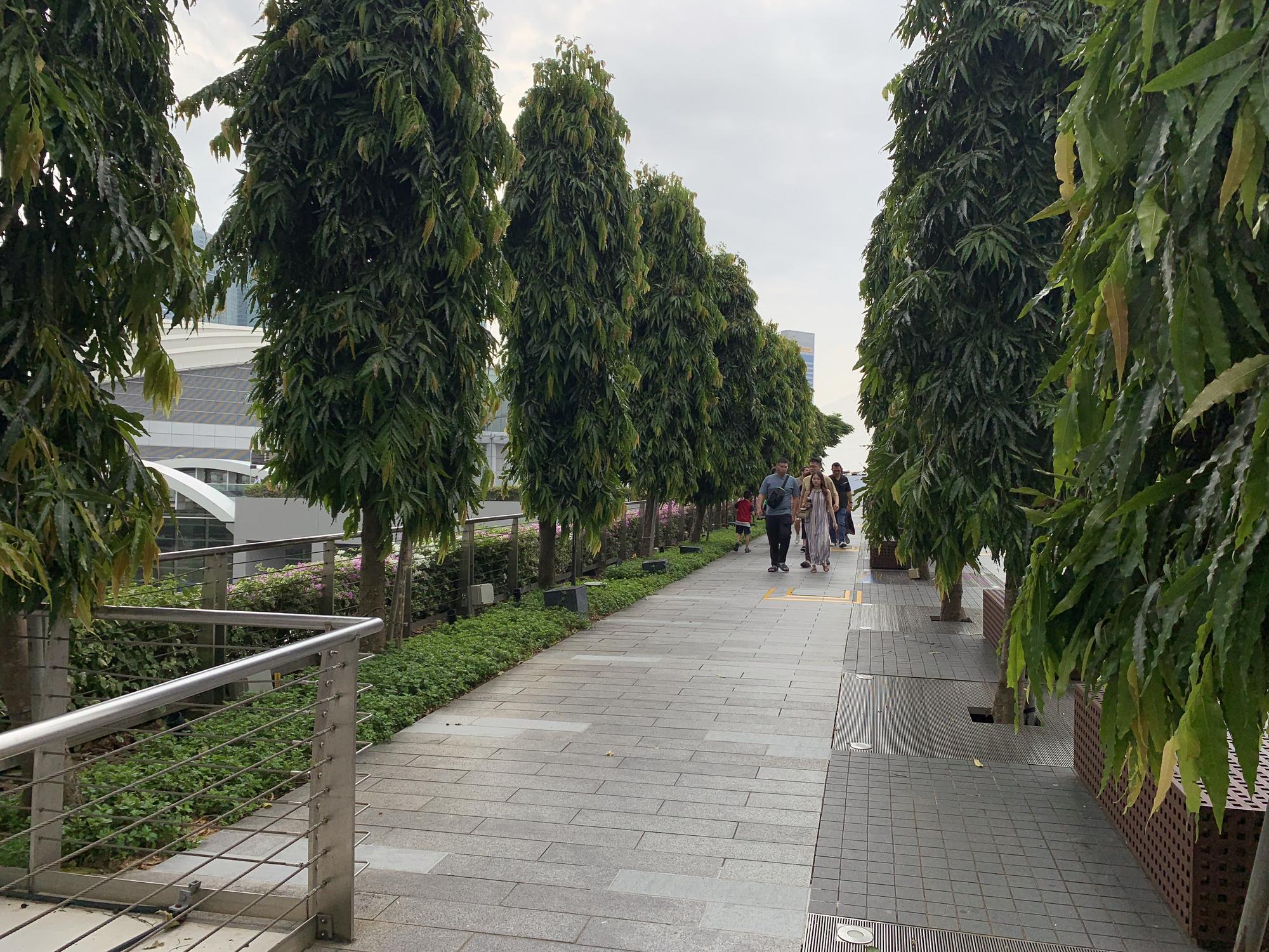 🇸🇬 Сингапур, Сингапур, август 2023.