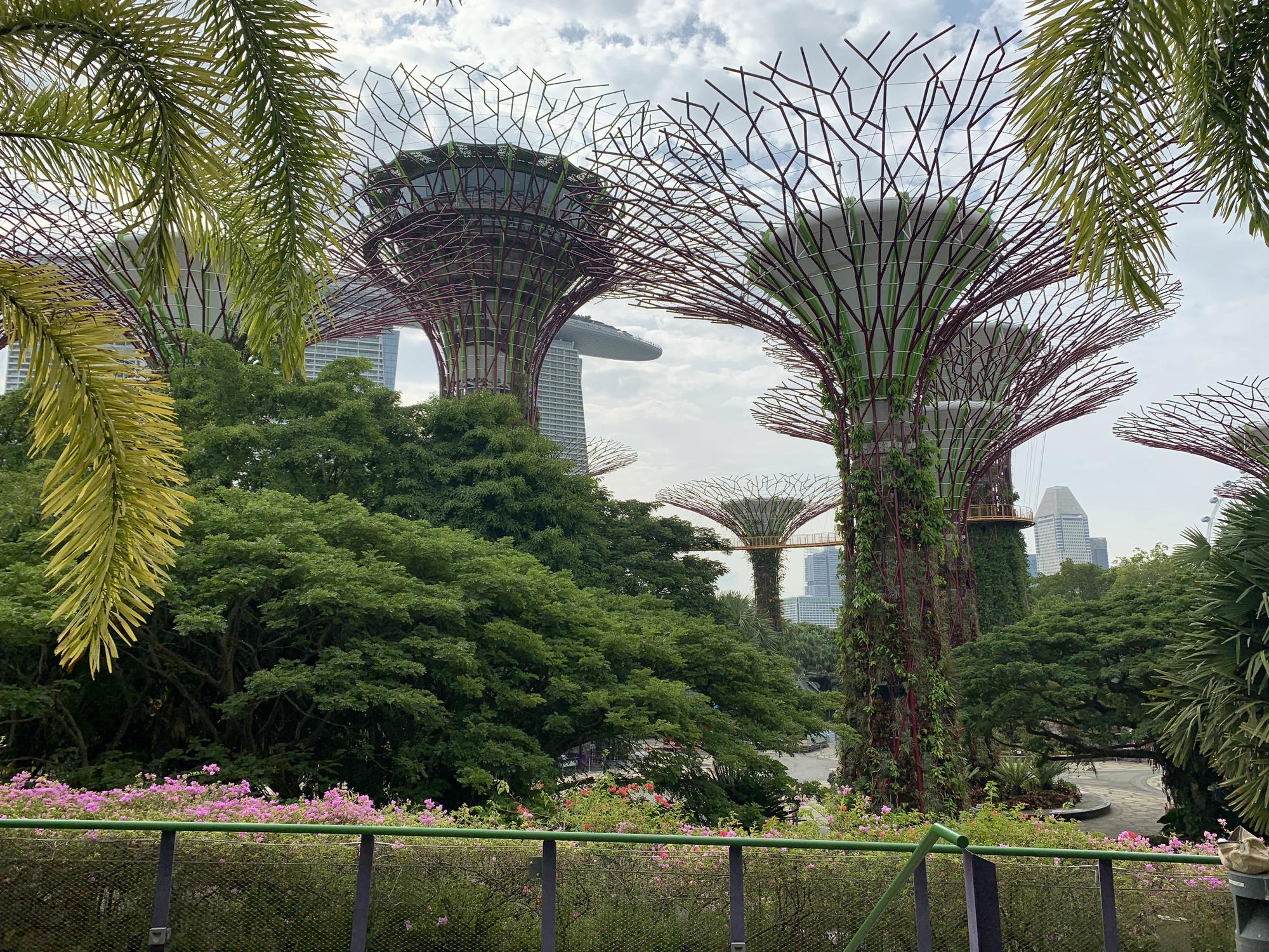 🇸🇬 Сингапур, Сингапур, август 2023.