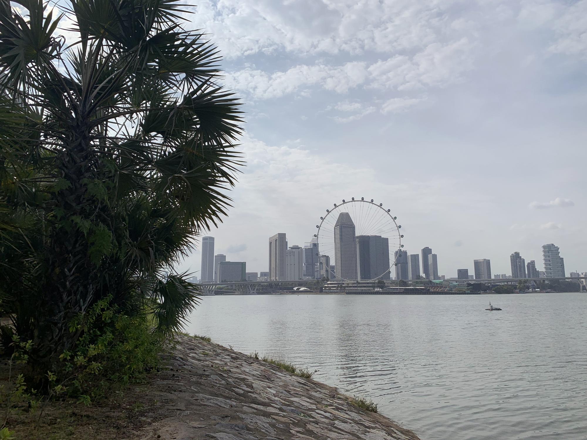 🇸🇬 Сингапур, Сингапур, август 2023.