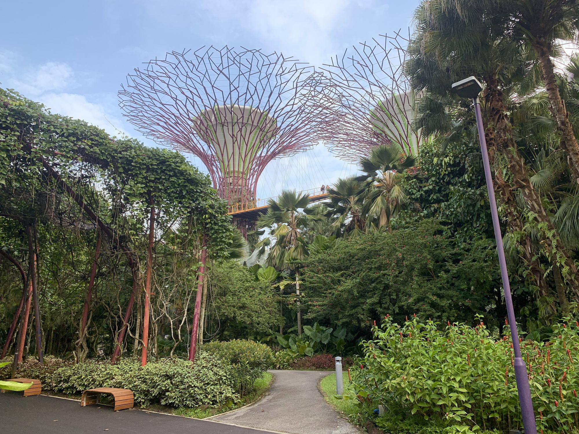 🇸🇬 Сингапур, Сингапур, август 2023.