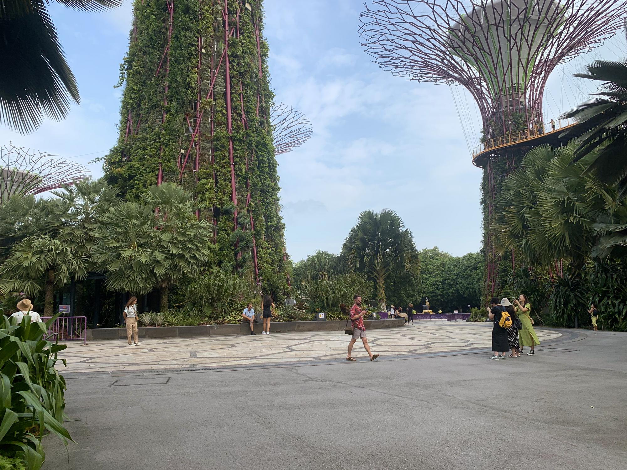🇸🇬 Сингапур, Сингапур, август 2023.
