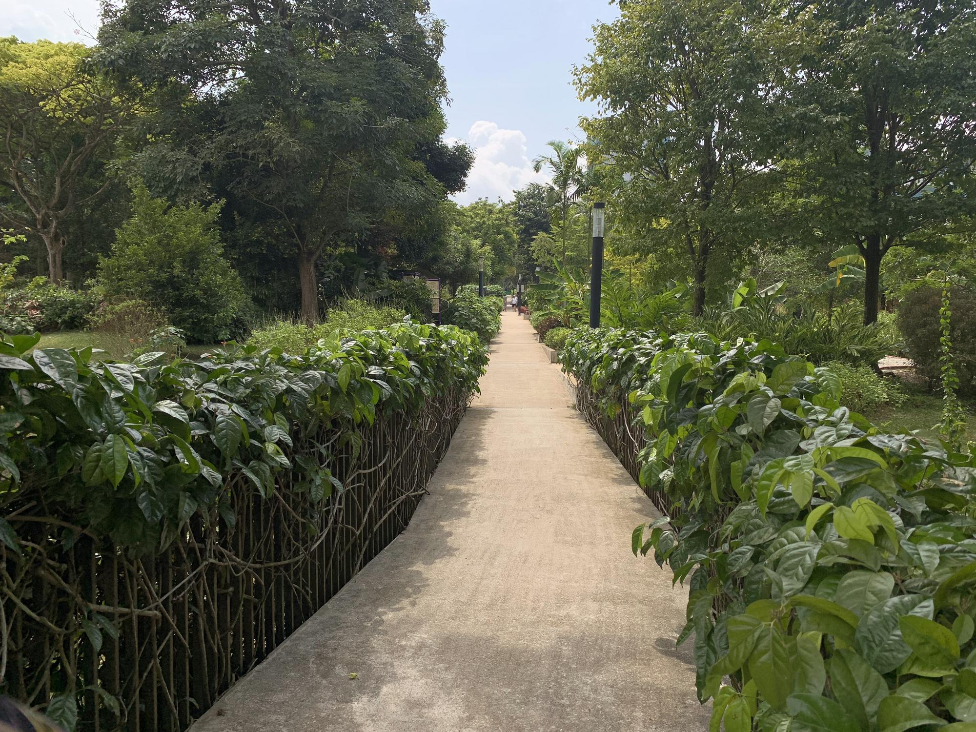 🇸🇬 Сингапур, Сингапур, август 2023.