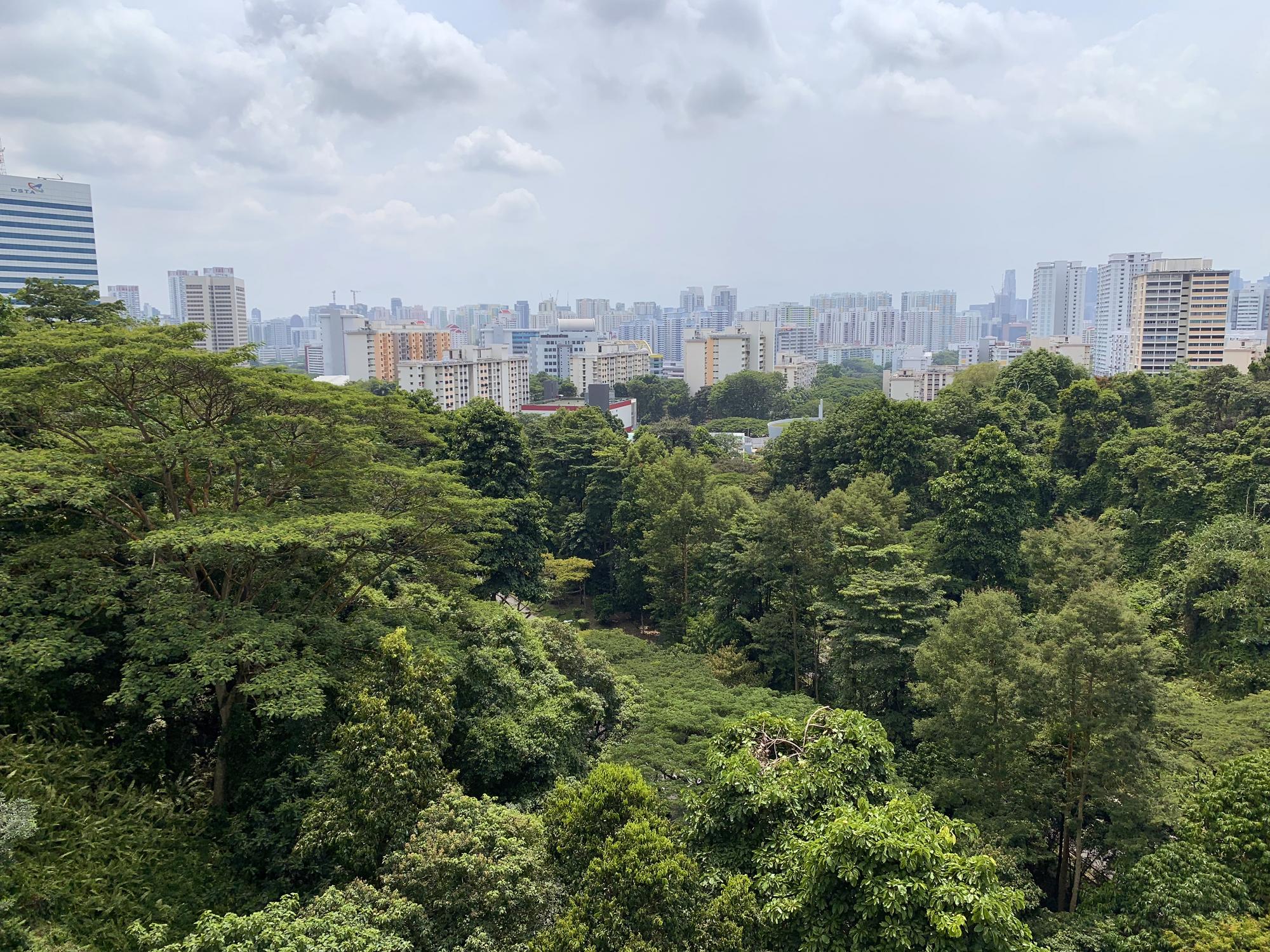 🇸🇬 Сингапур, Сингапур, август 2023.
