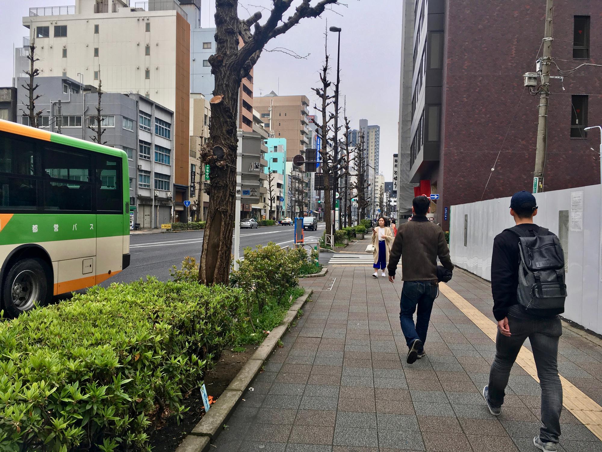 🇯🇵 Tokyo, Japan, April 2017.