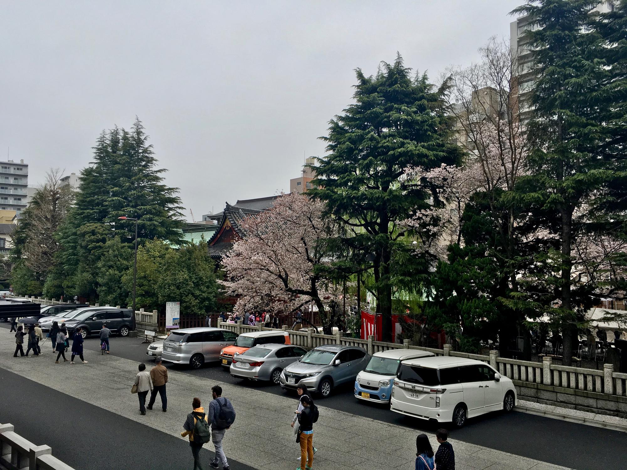 🇯🇵 Tokyo, Japan, April 2017.