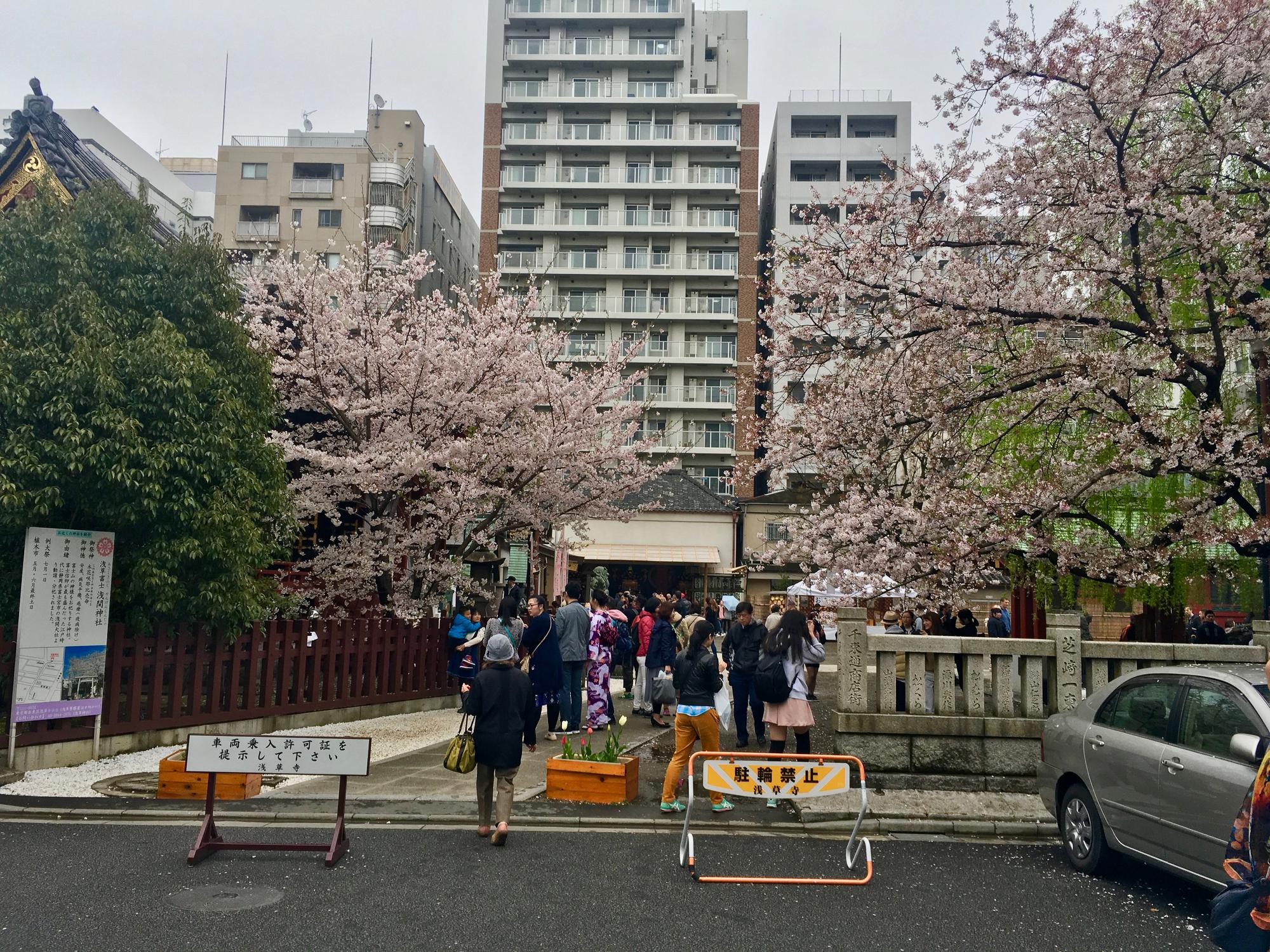 🇯🇵 Токио, Япония, апрель 2017.