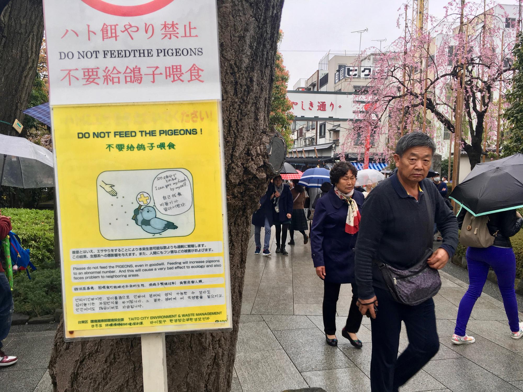 🇯🇵 Tokyo, Japan, April 2017.