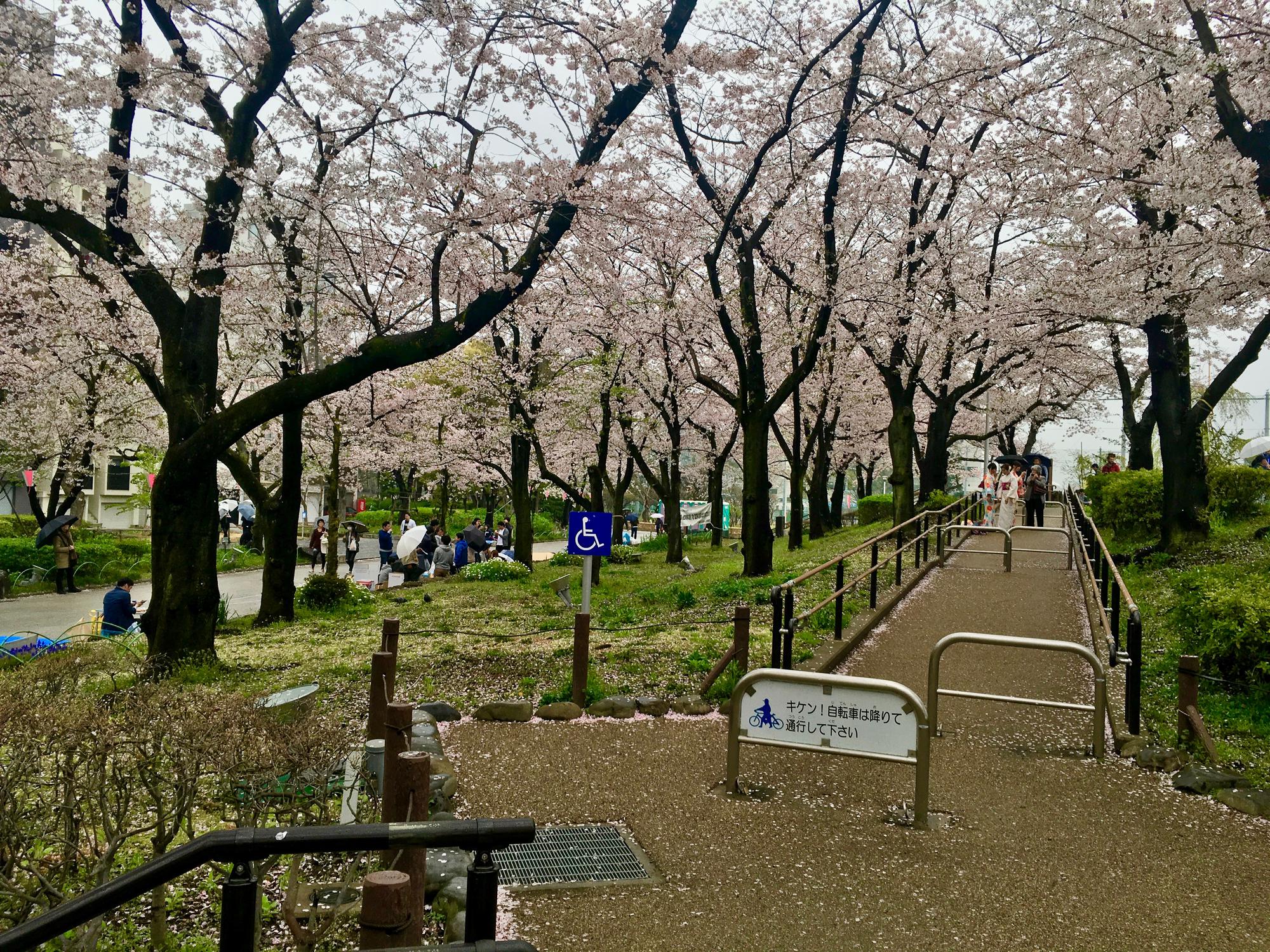 🇯🇵 Tokyo, Japan, April 2017.