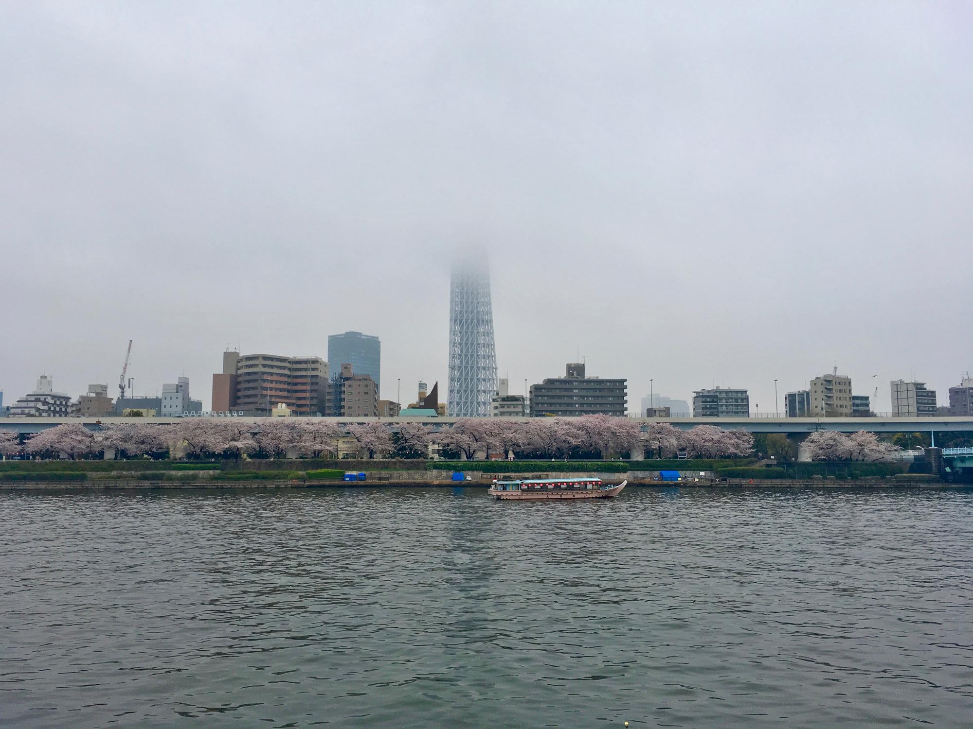 🇯🇵 Tokyo, Japan, April 2017.