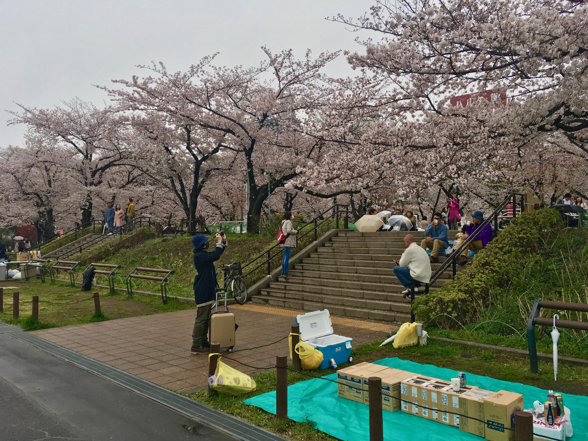 🇯🇵 Токио, Япония, апрель 2017.