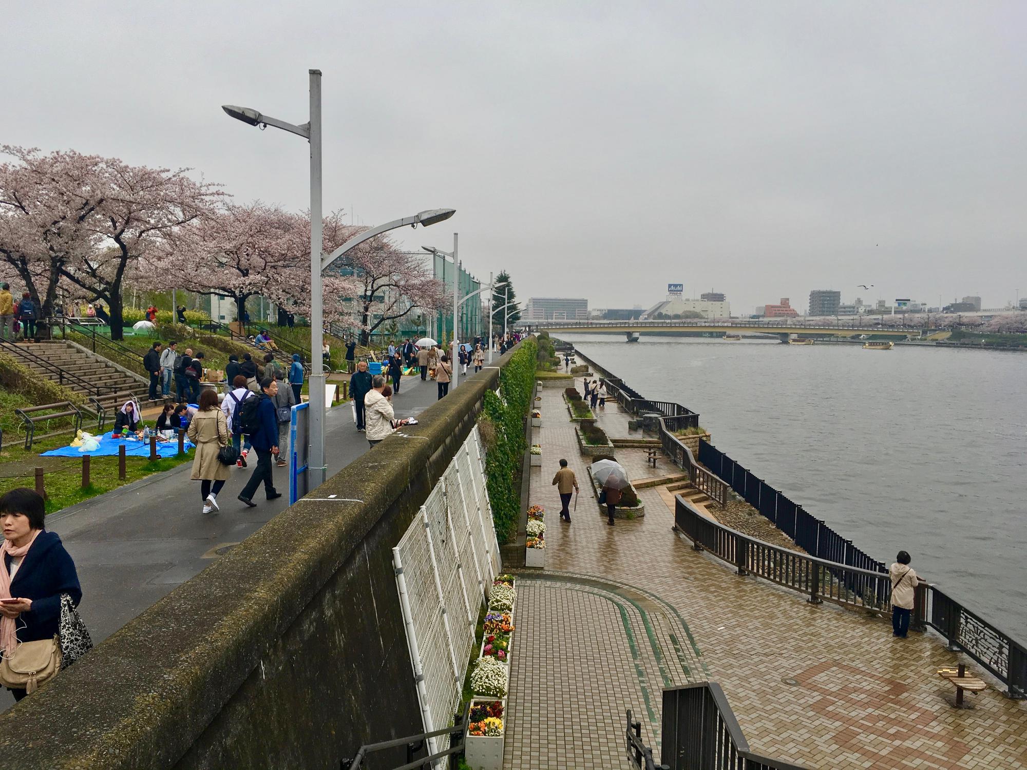 🇯🇵 Токио, Япония, апрель 2017.