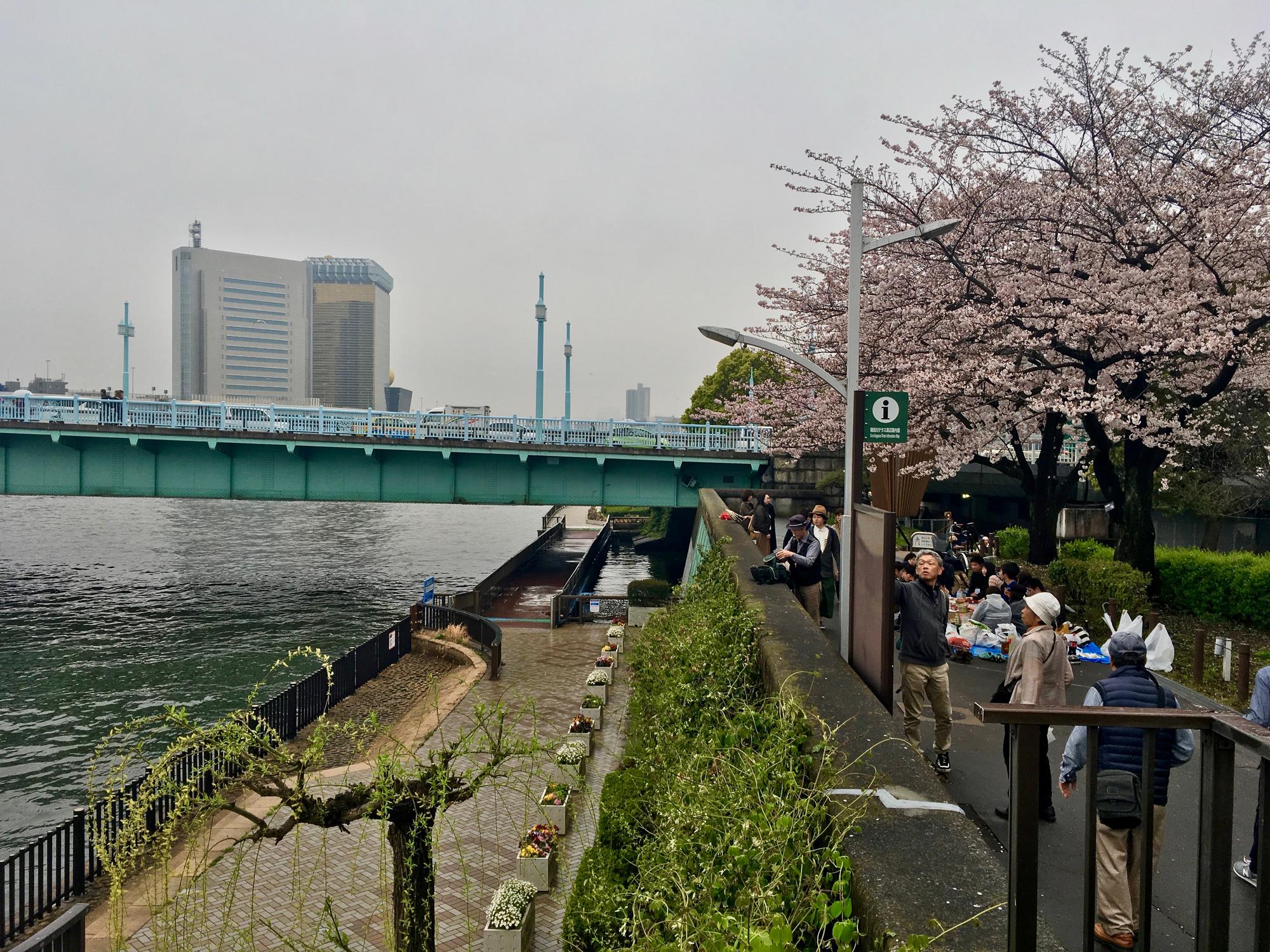 🇯🇵 Tokyo, Japan, April 2017.