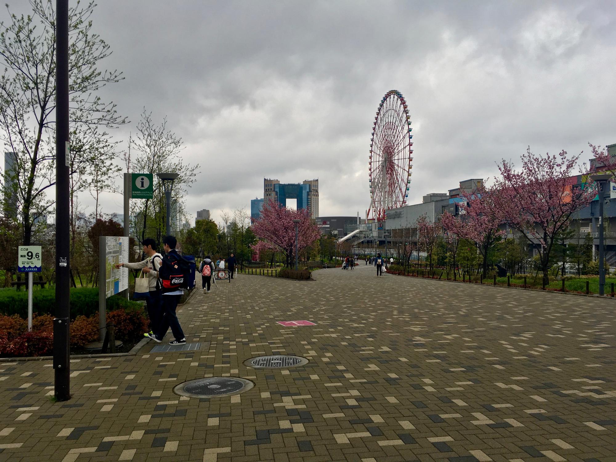 🇯🇵 Tokyo, Japan, April 2017.