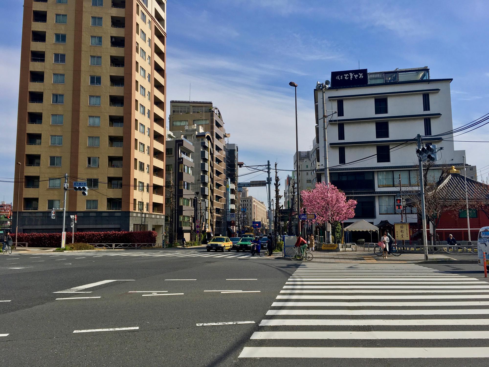 🇯🇵 Tokyo, Japan, April 2017.