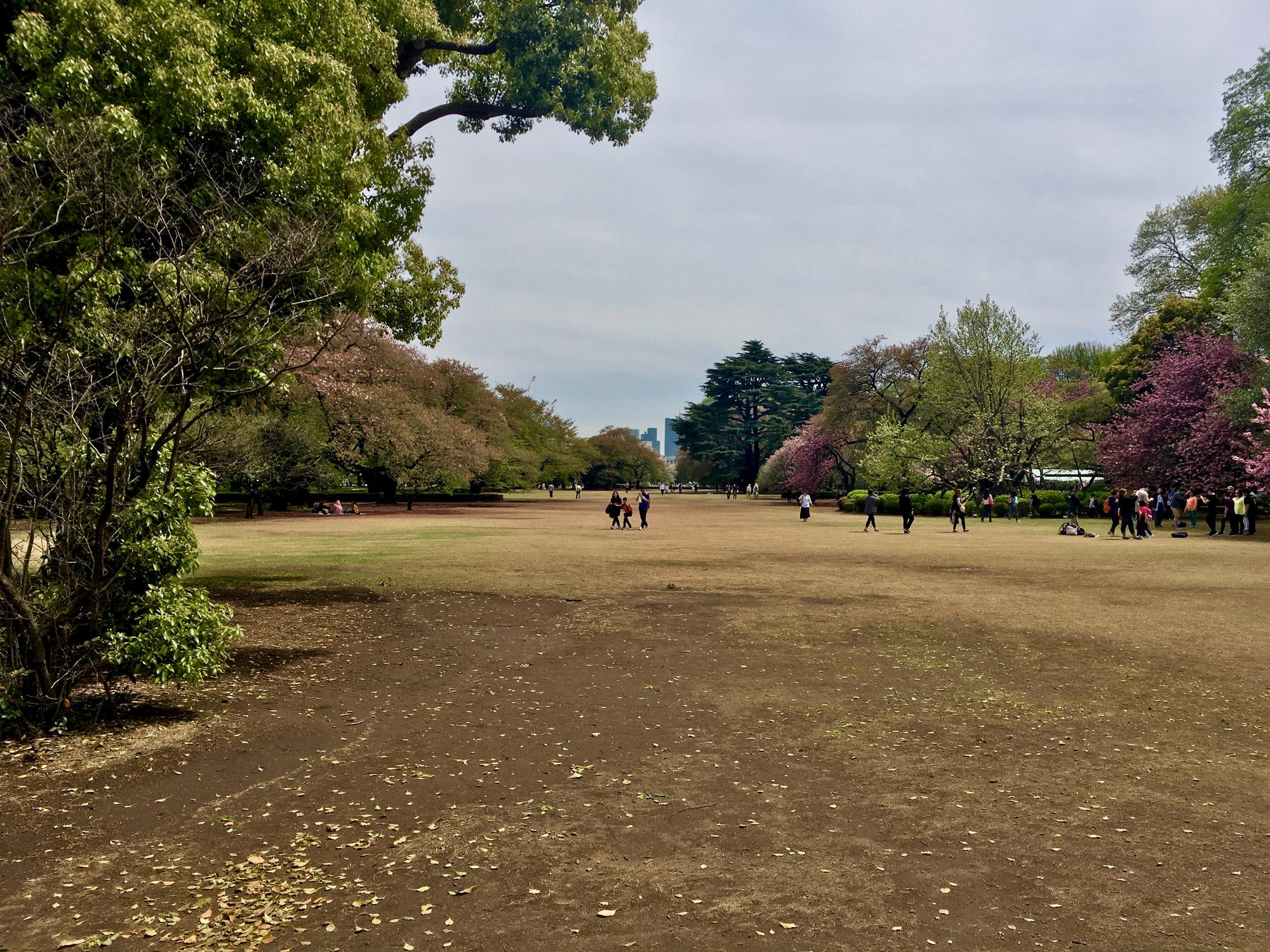 🇯🇵 Tokyo, Japan, April 2017.