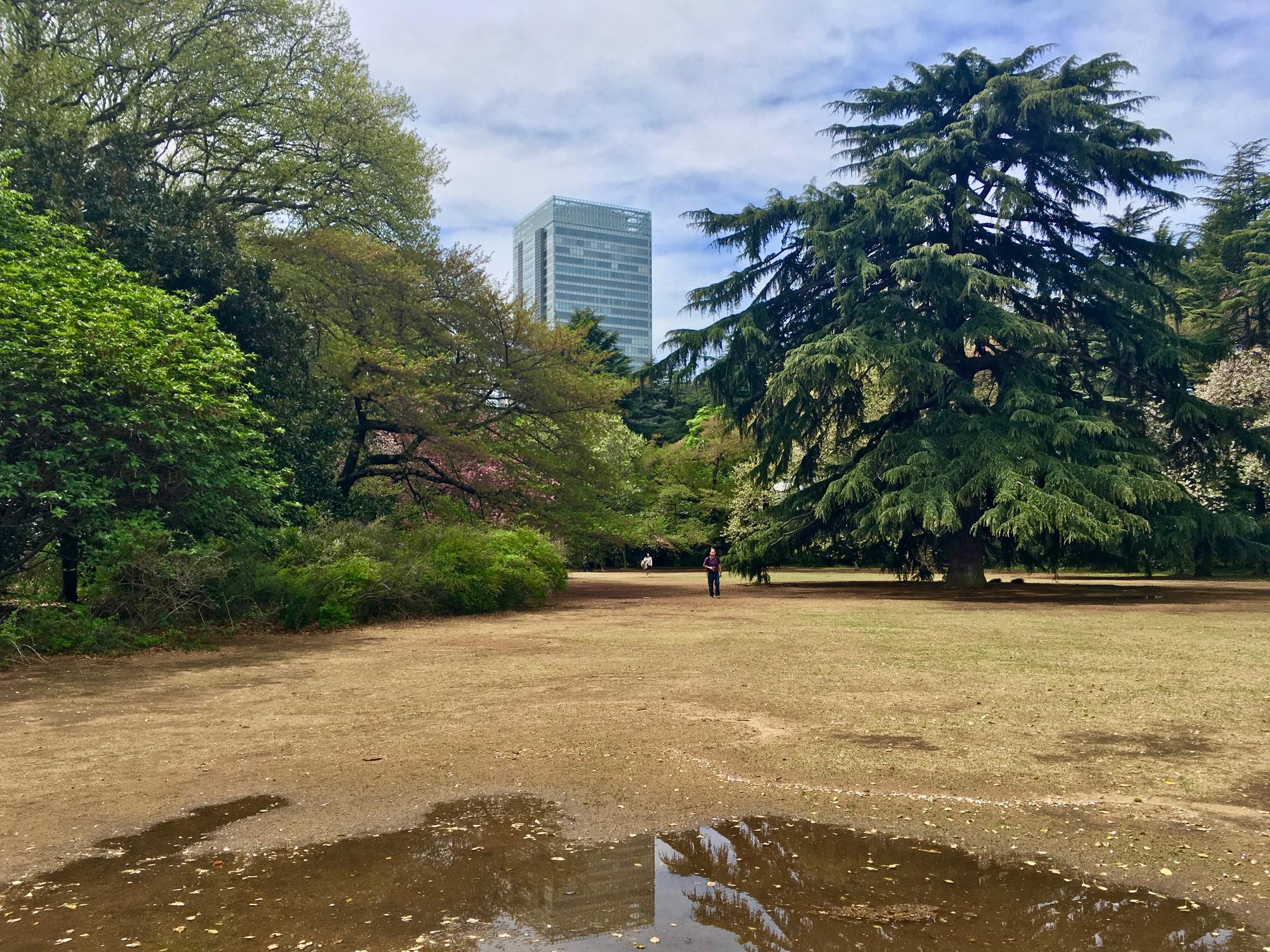 🇯🇵 Tokyo, Japan, April 2017.