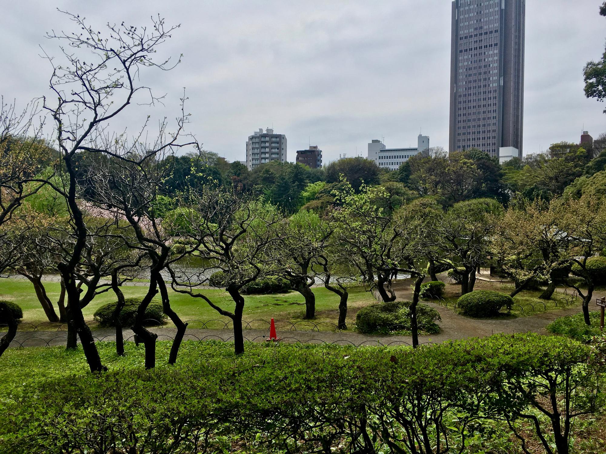 🇯🇵 Tokyo, Japan, April 2017.