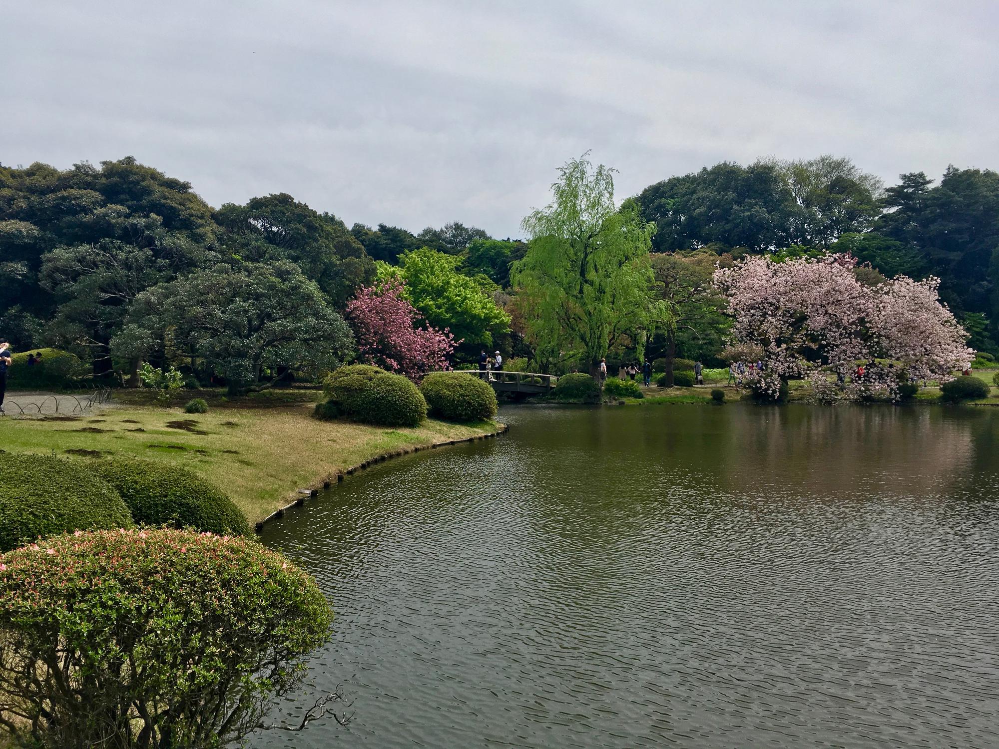 🇯🇵 Tokyo, Japan, April 2017.