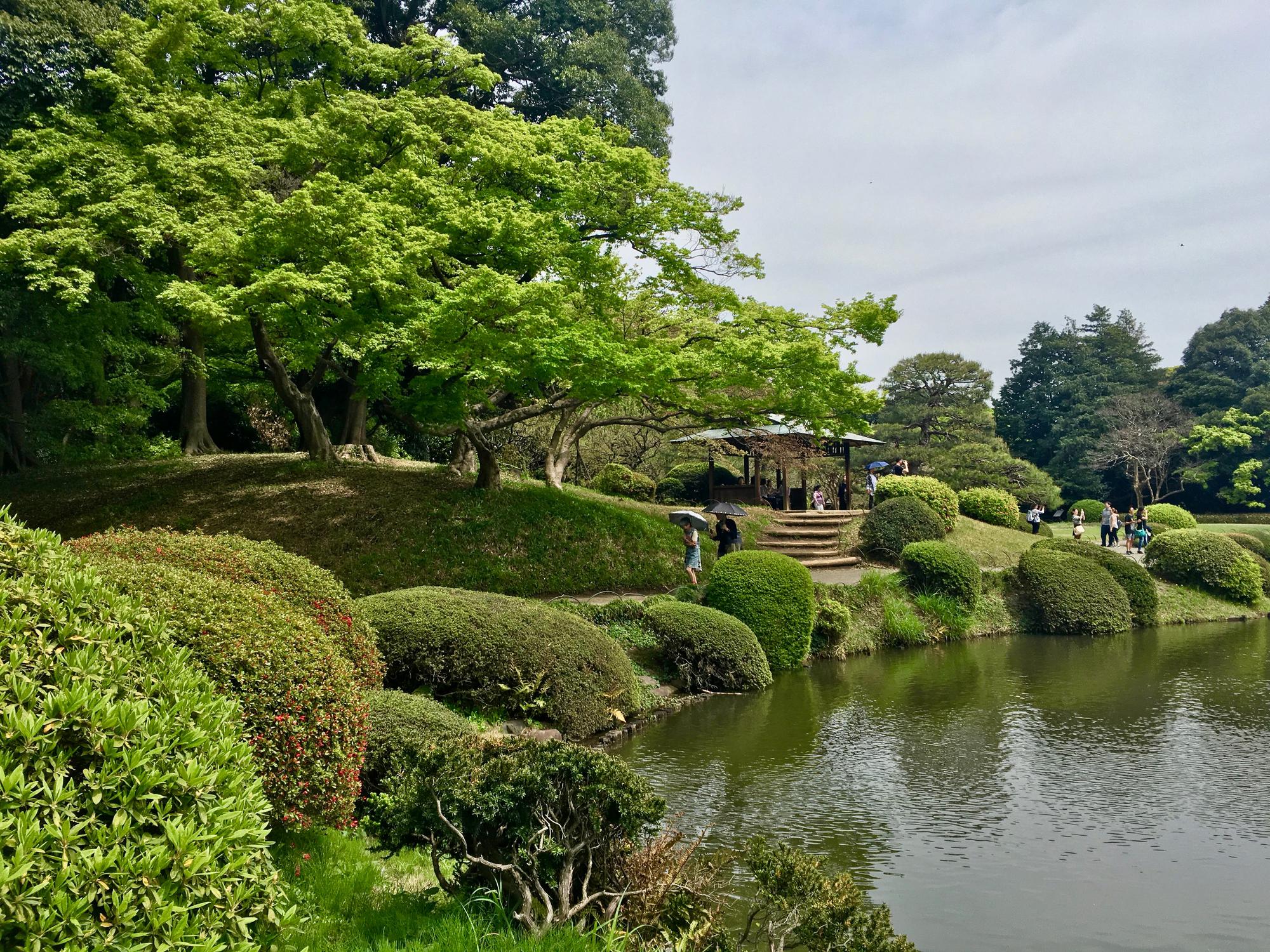 🇯🇵 Tokyo, Japan, April 2017.