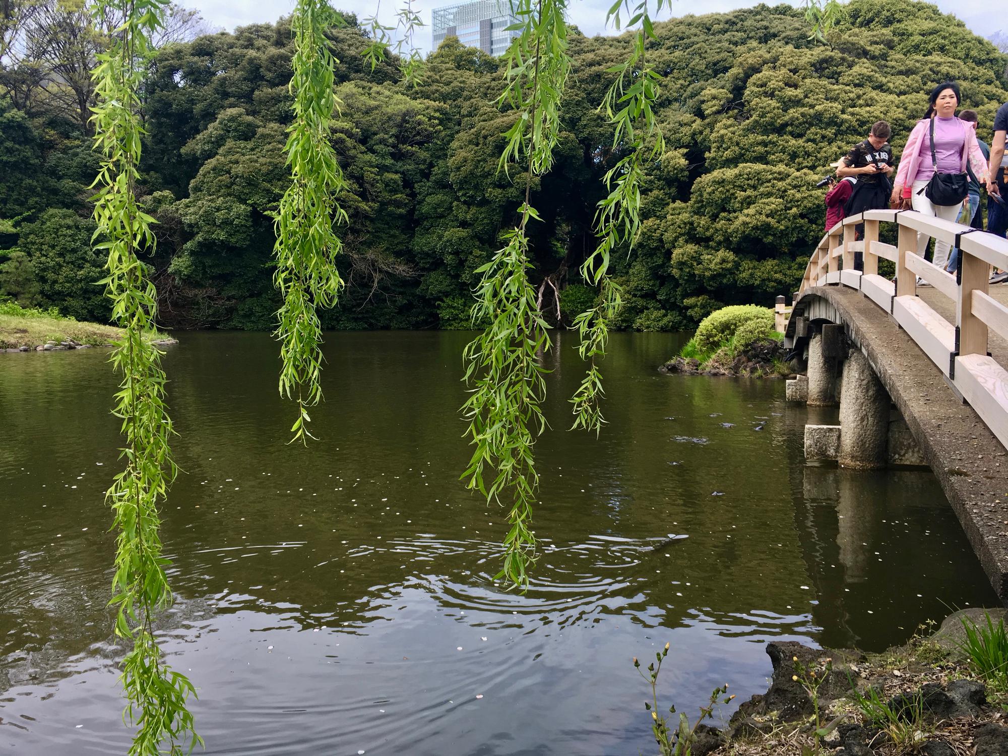 🇯🇵 Tokyo, Japan, April 2017.