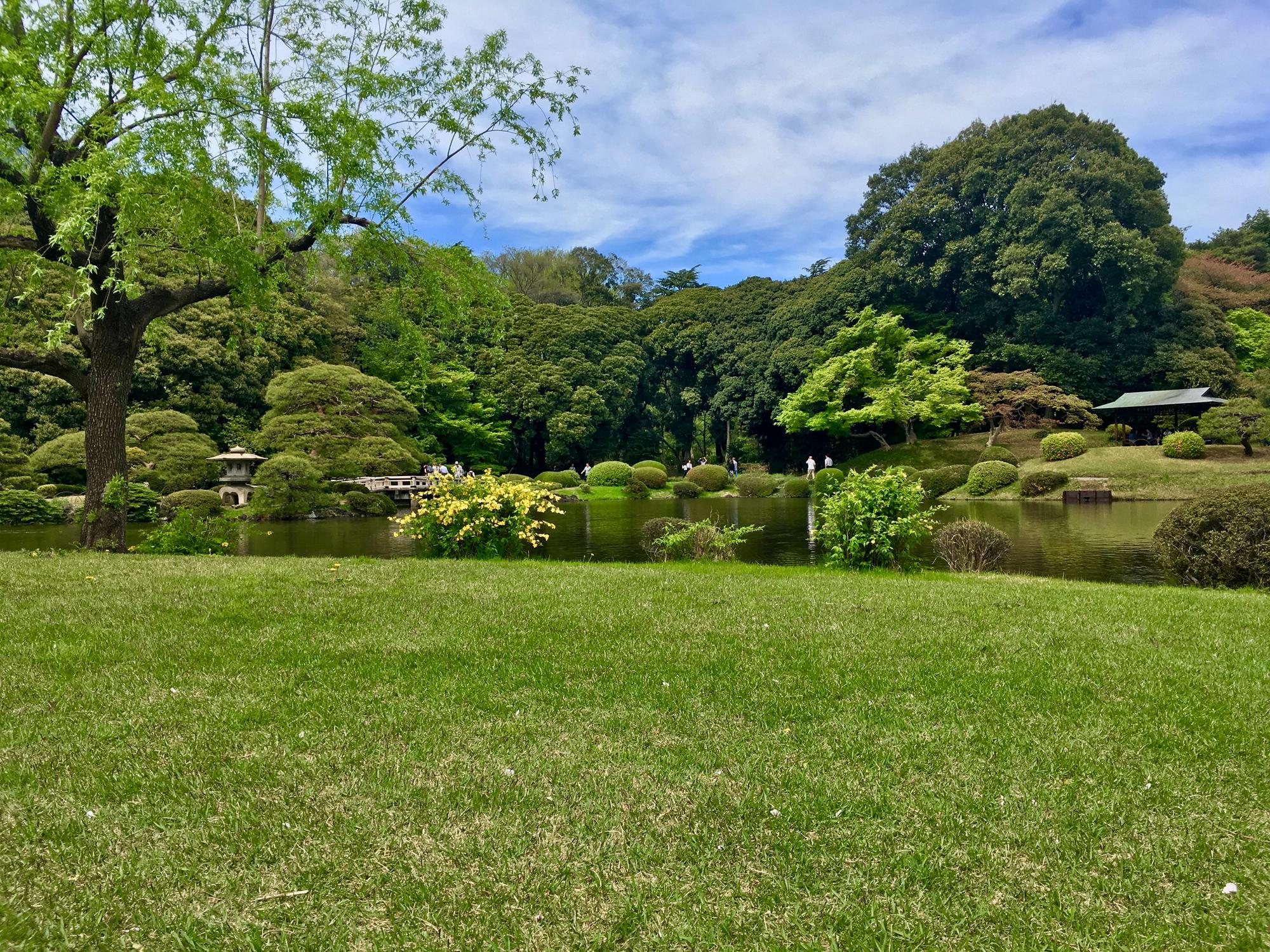 🇯🇵 Tokyo, Japan, April 2017.