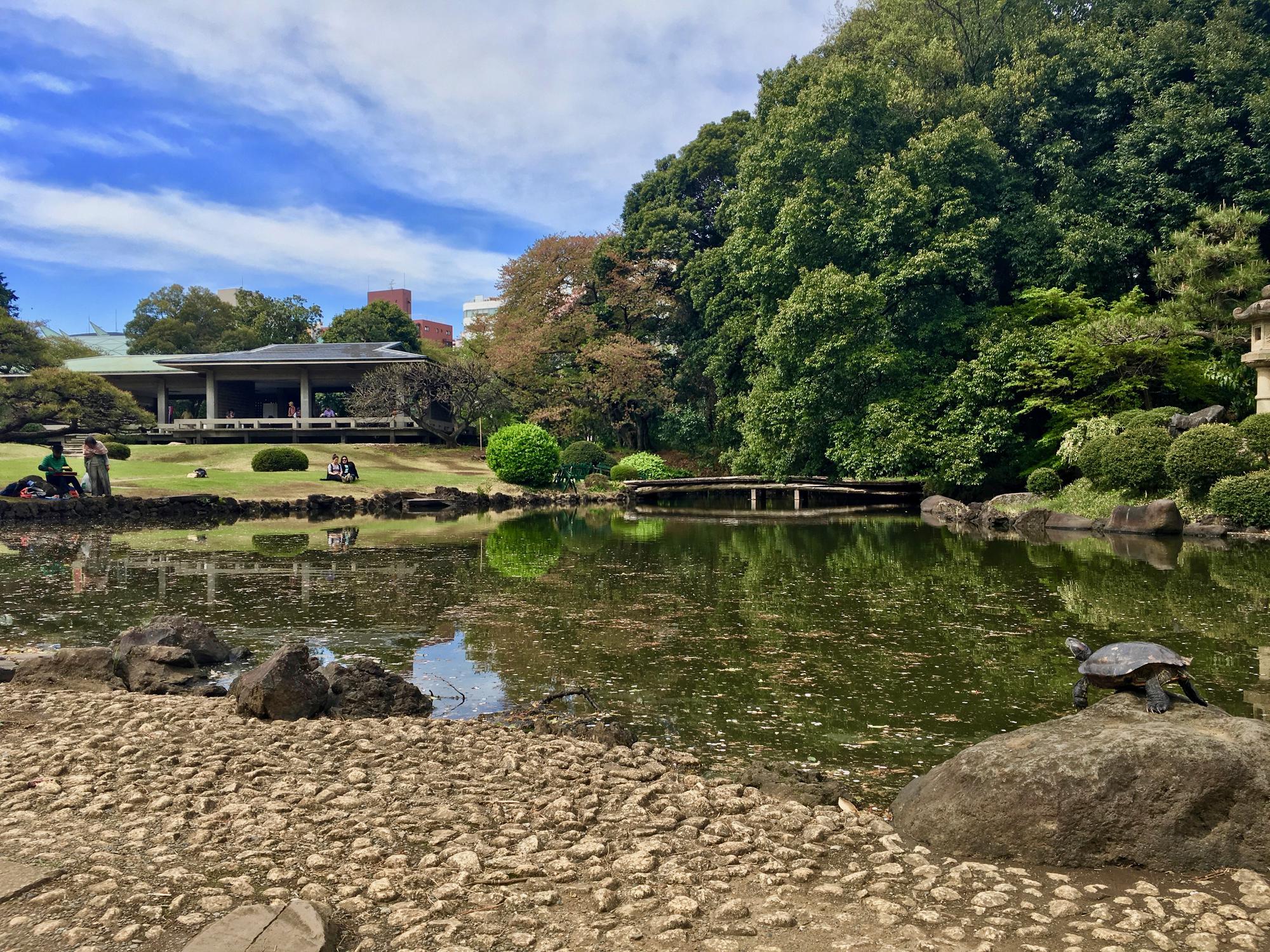 🇯🇵 Tokyo, Japan, April 2017.