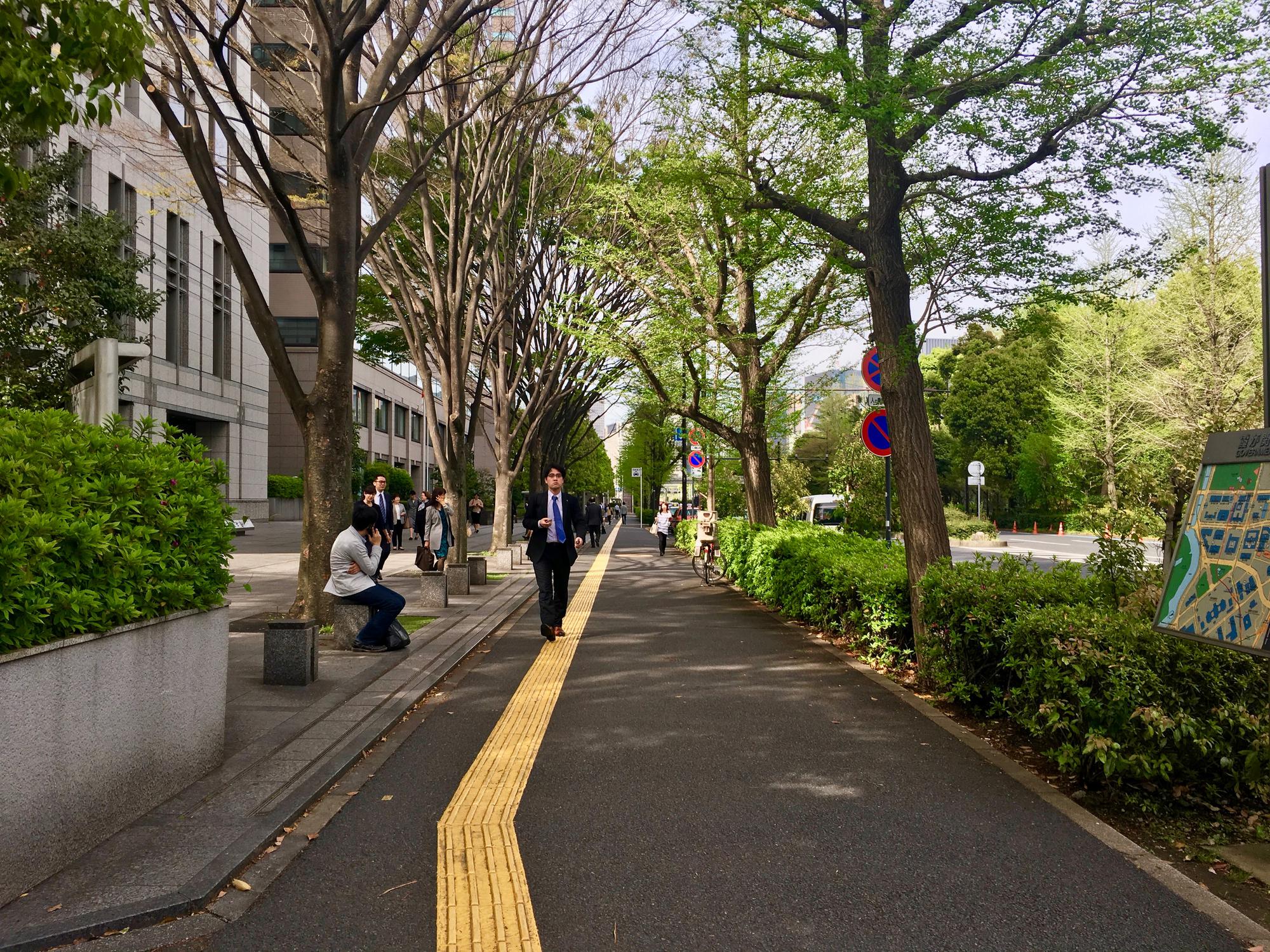 🇯🇵 Tokyo, Japan, April 2017.