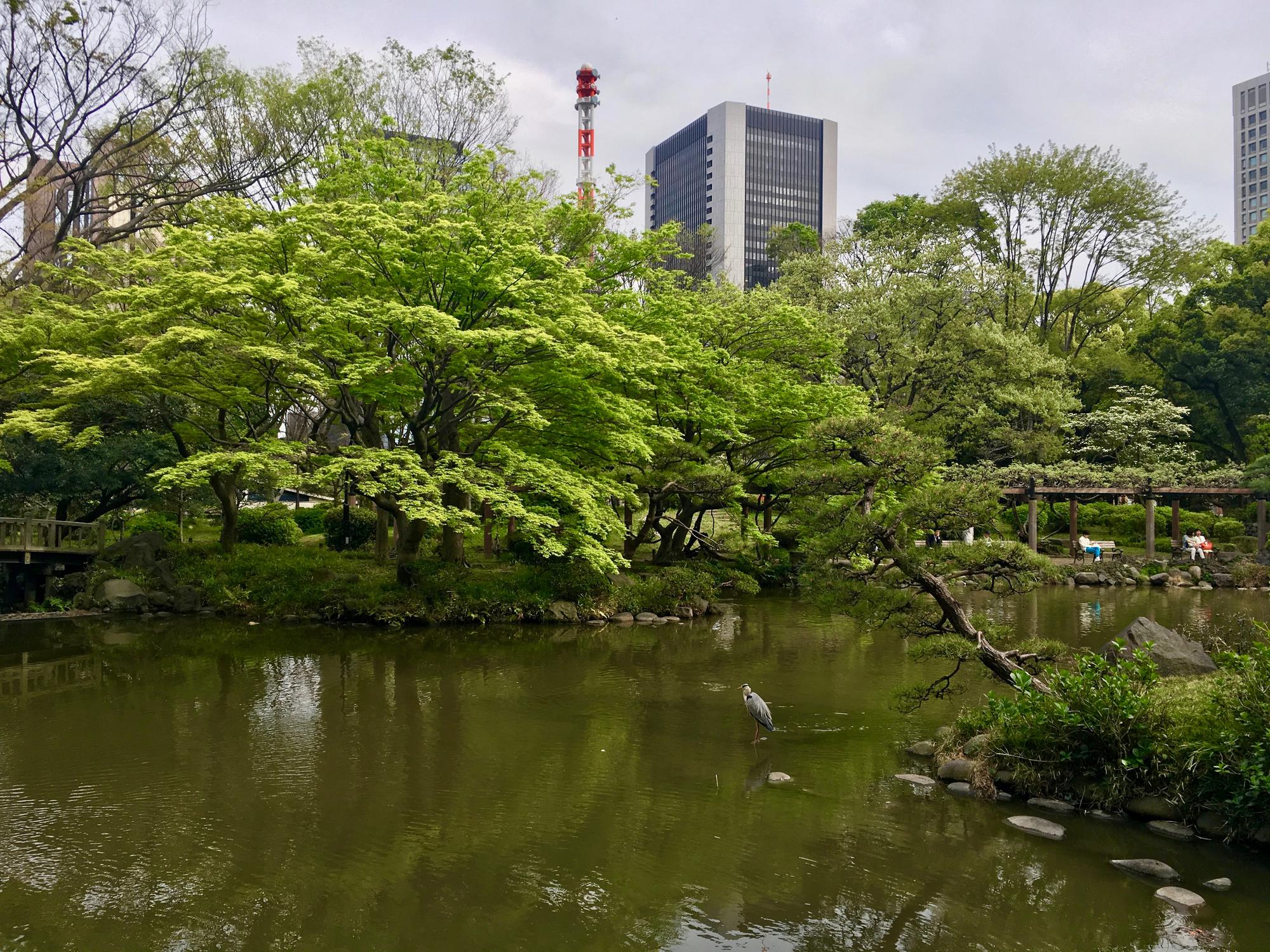 🇯🇵 Tokyo, Japan, April 2017.