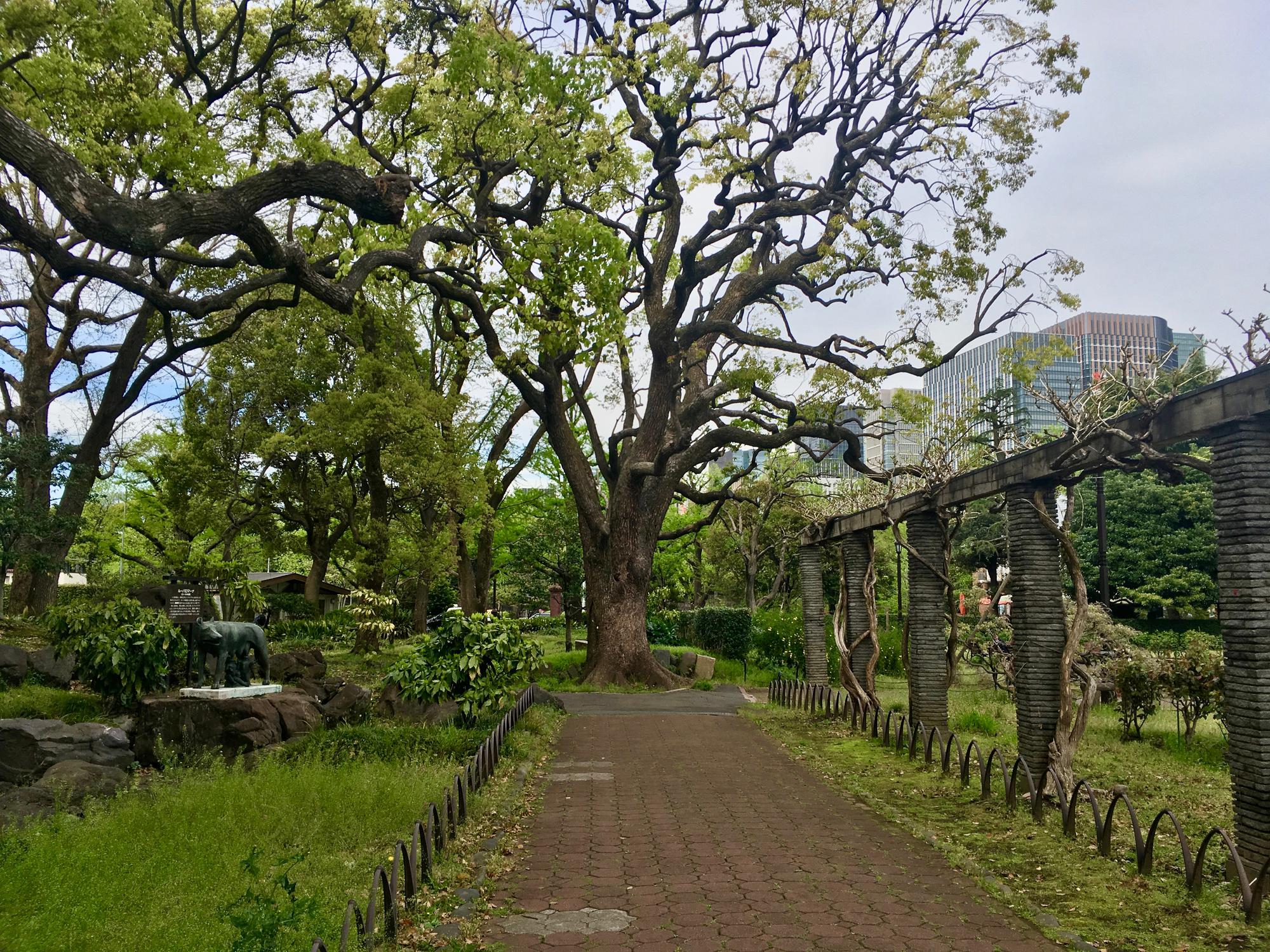 🇯🇵 Tokyo, Japan, April 2017.