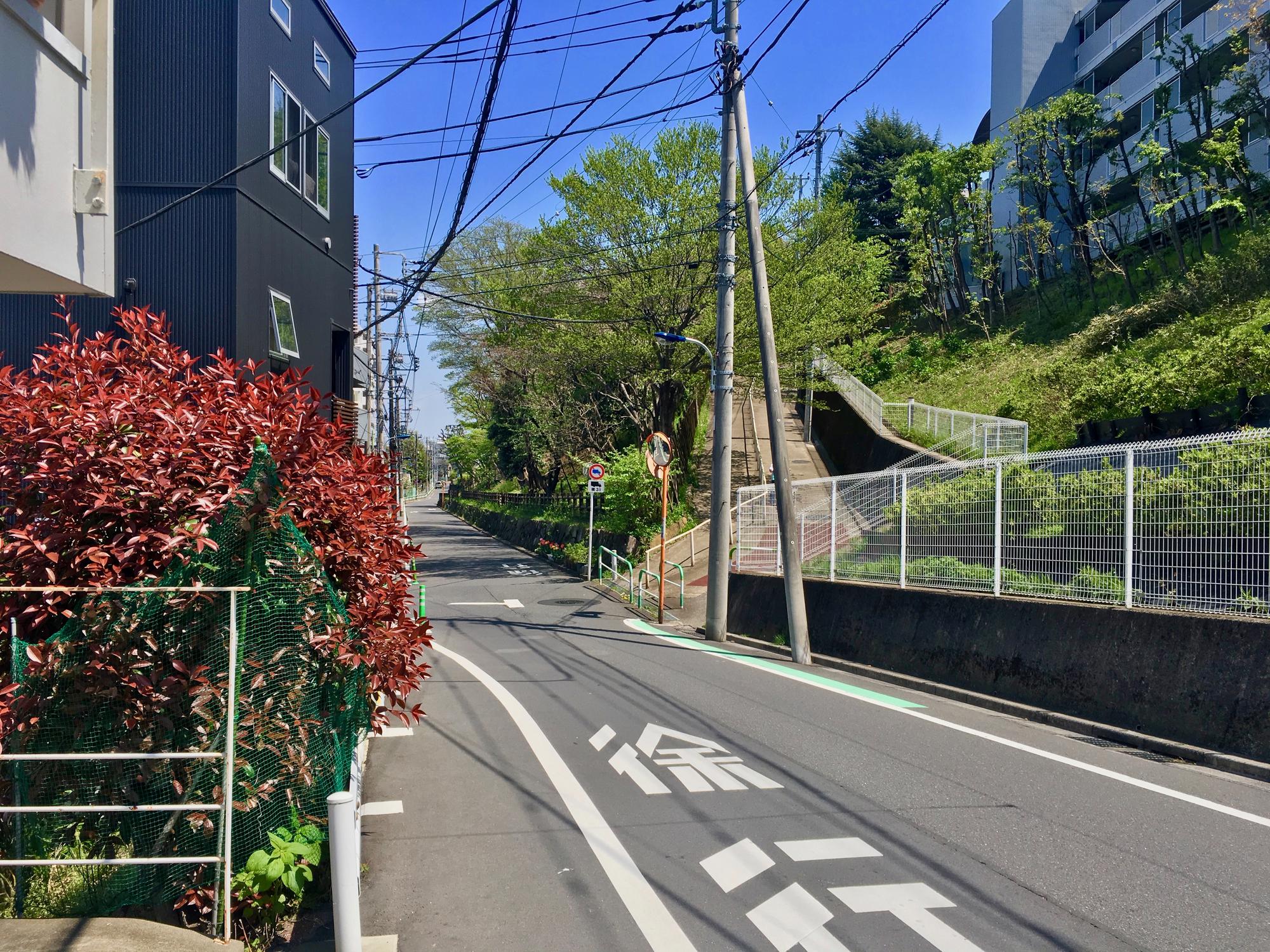 🇯🇵 Tokyo, Japan, April 2017.