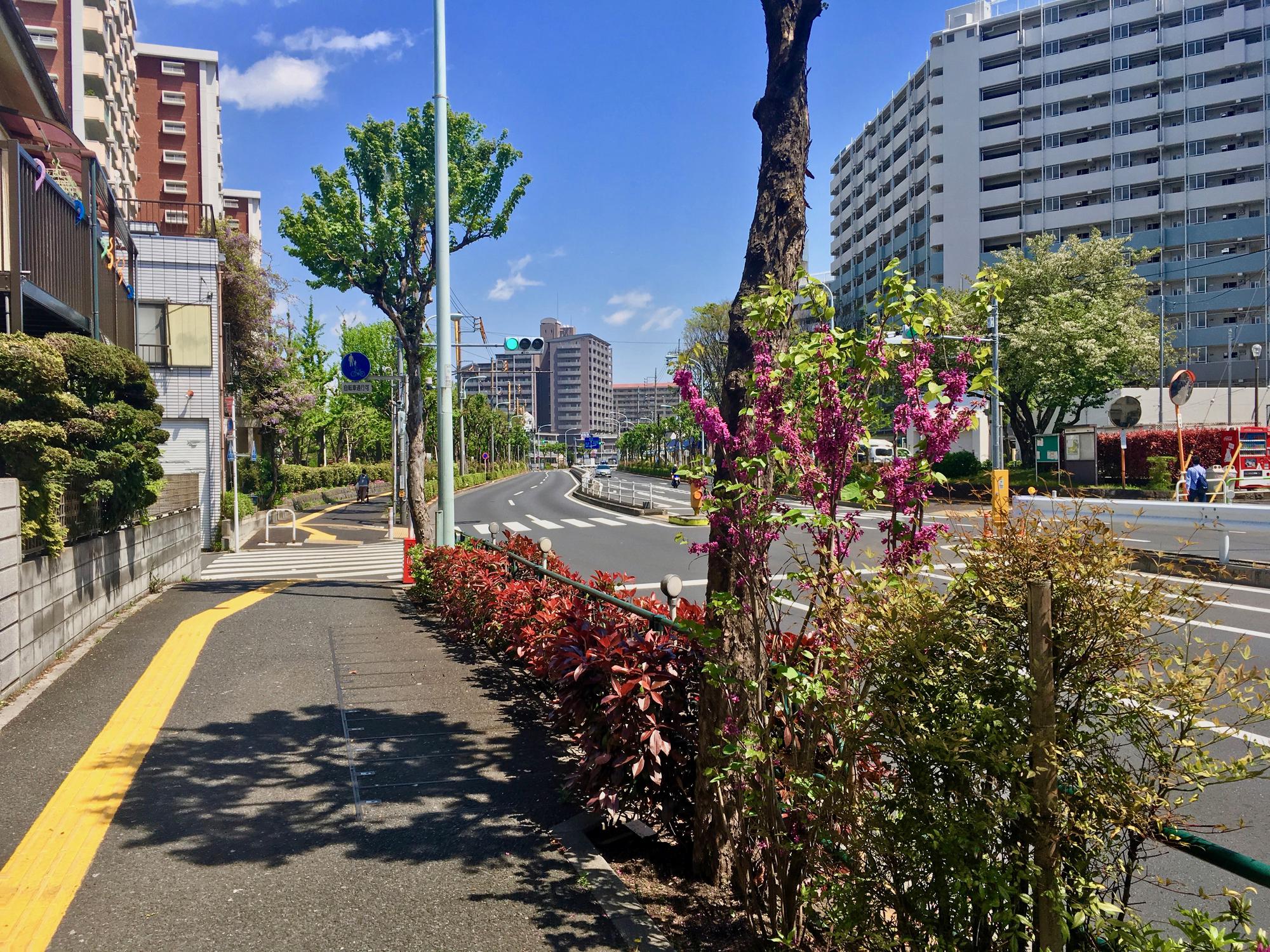 🇯🇵 Tokyo, Japan, April 2017.