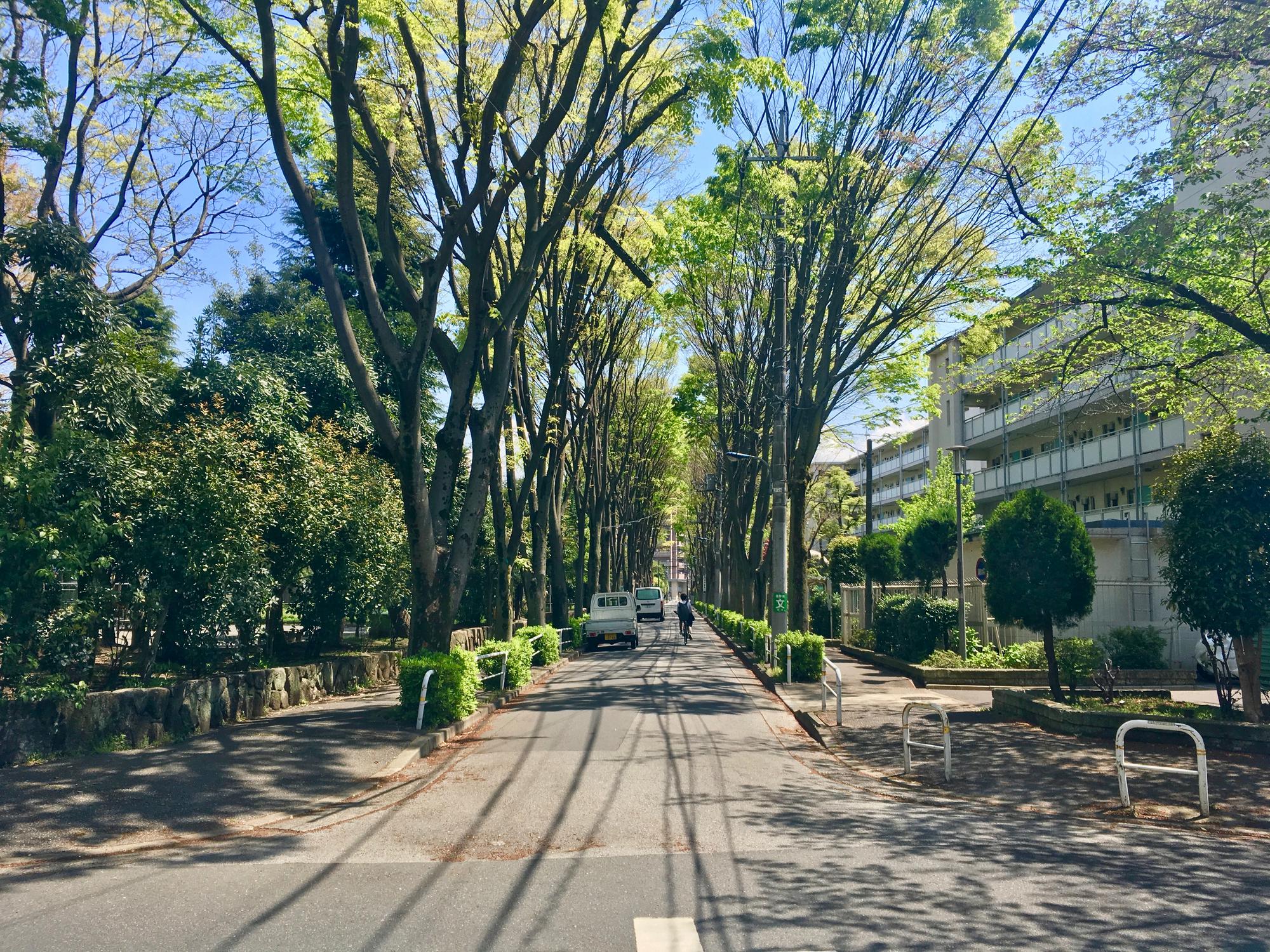 🇯🇵 Tokyo, Japan, April 2017.