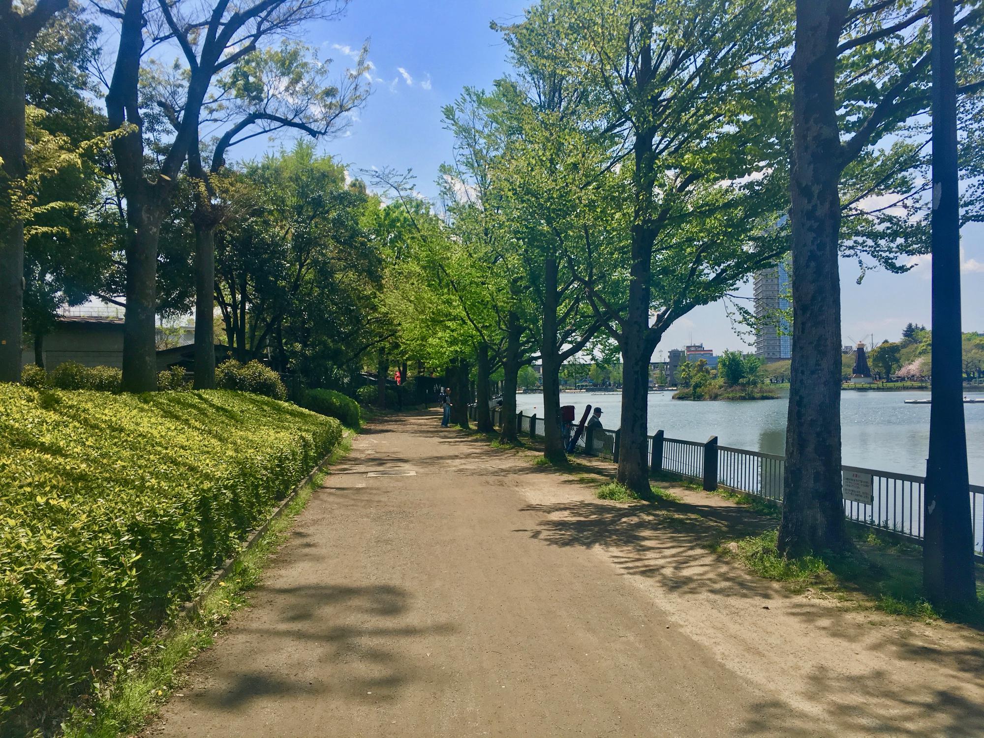 🇯🇵 Tokyo, Japan, April 2017.