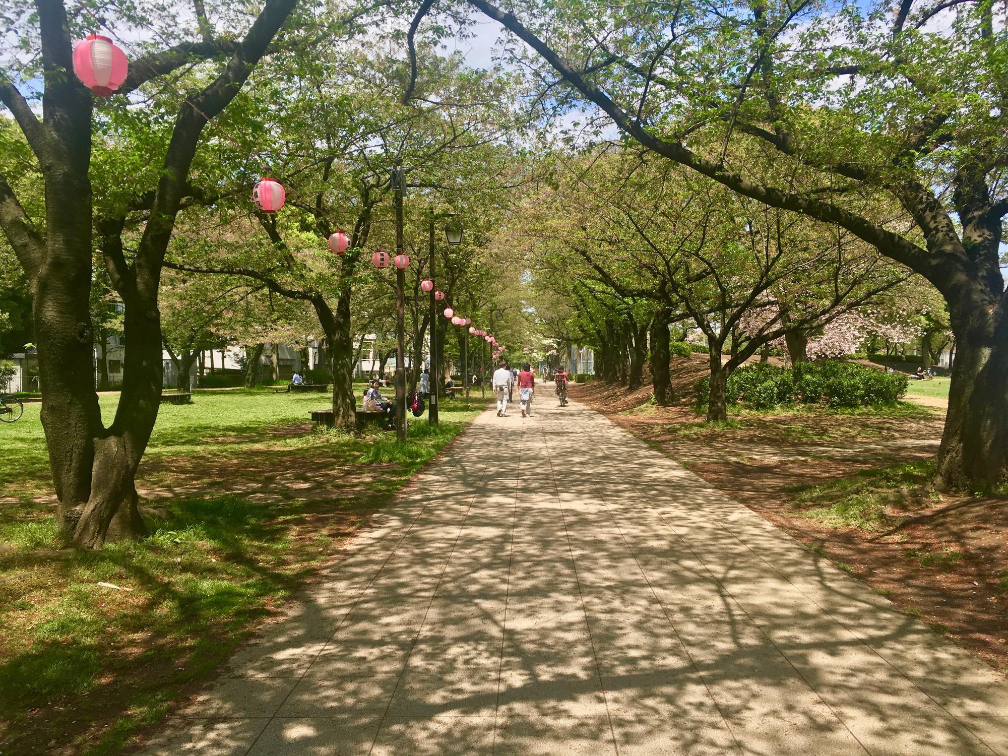 🇯🇵 Tokyo, Japan, April 2017.