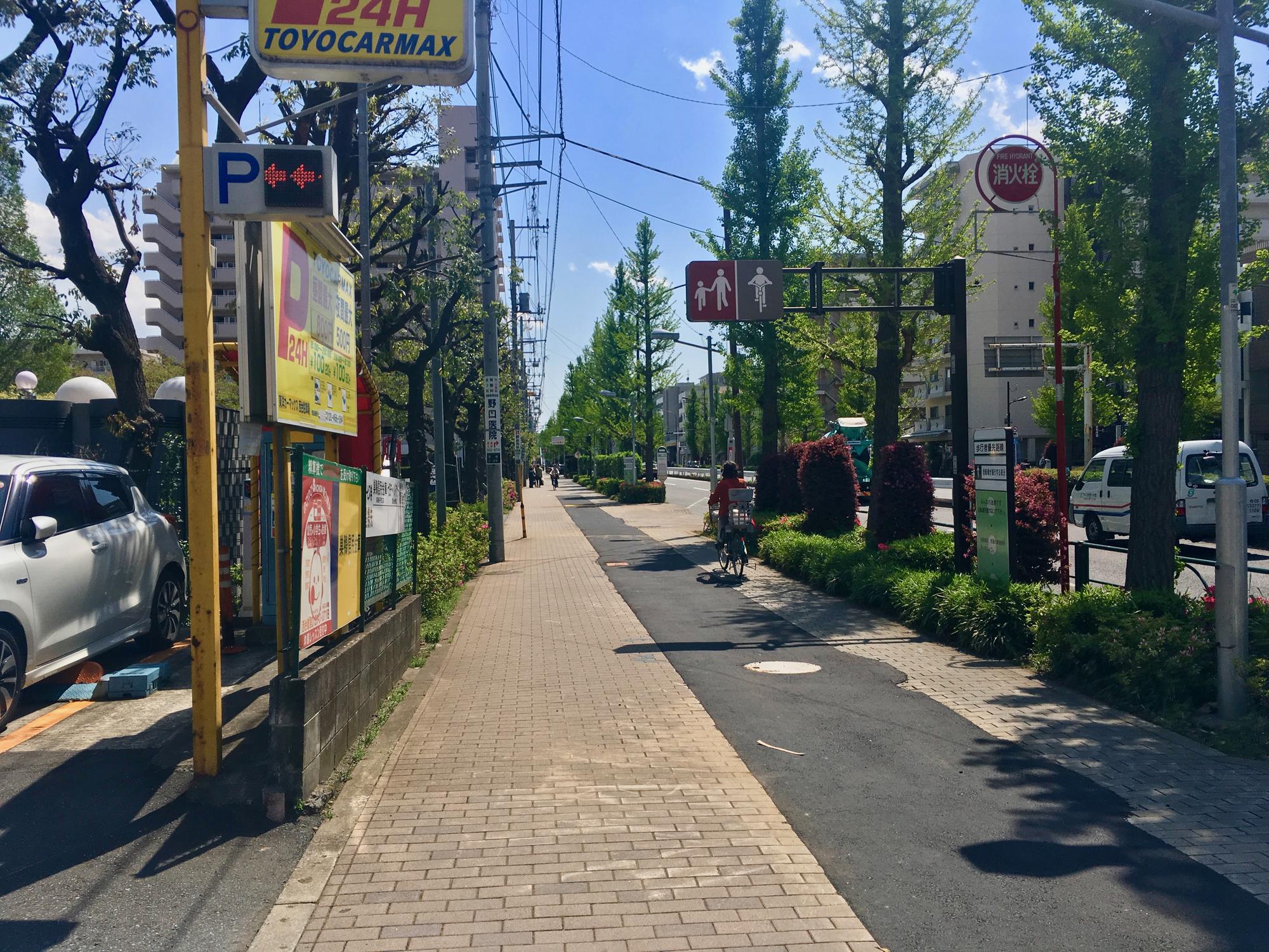 🇯🇵 Tokyo, Japan, April 2017.