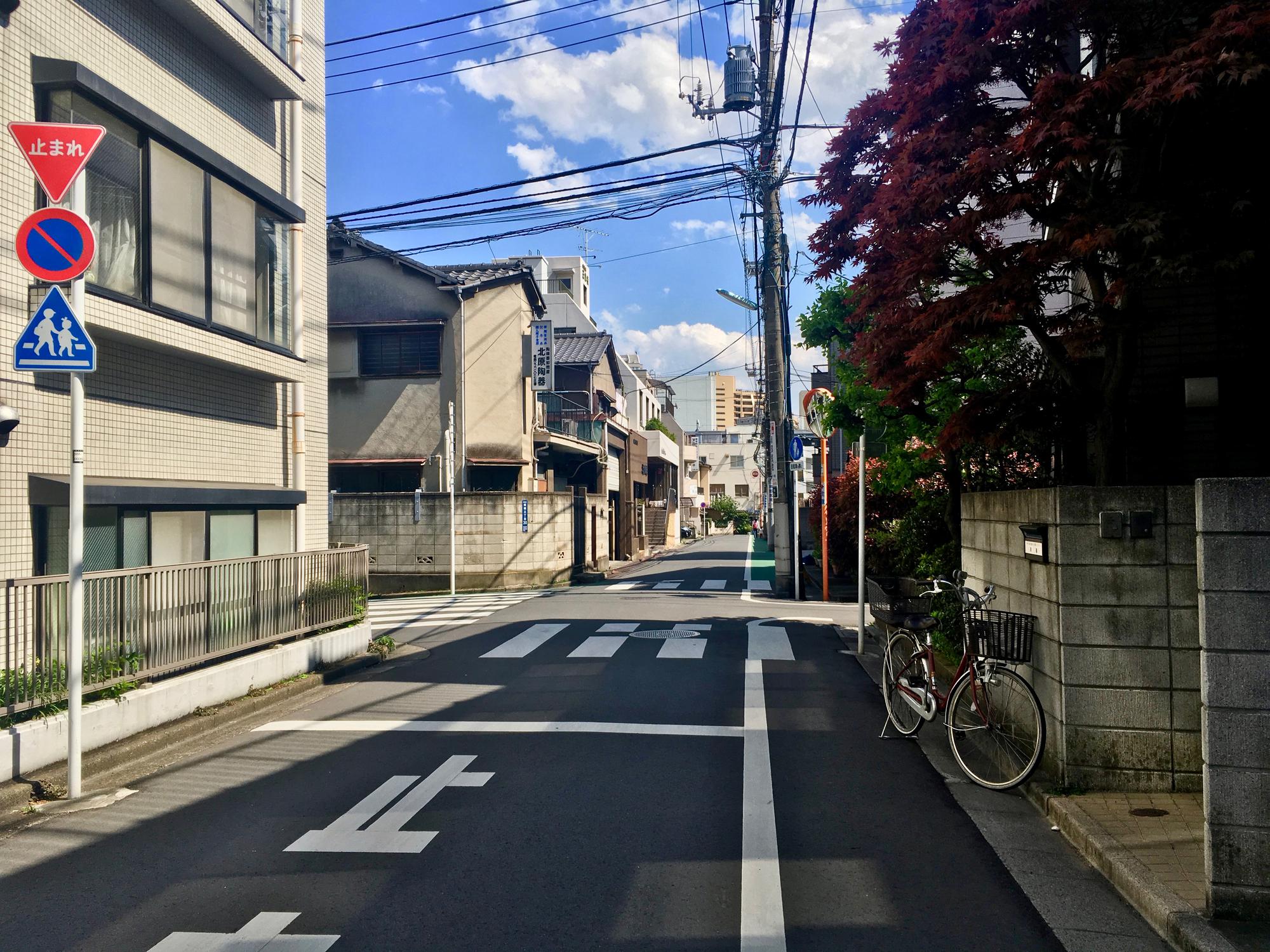 🇯🇵 Tokyo, Japan, April 2017.