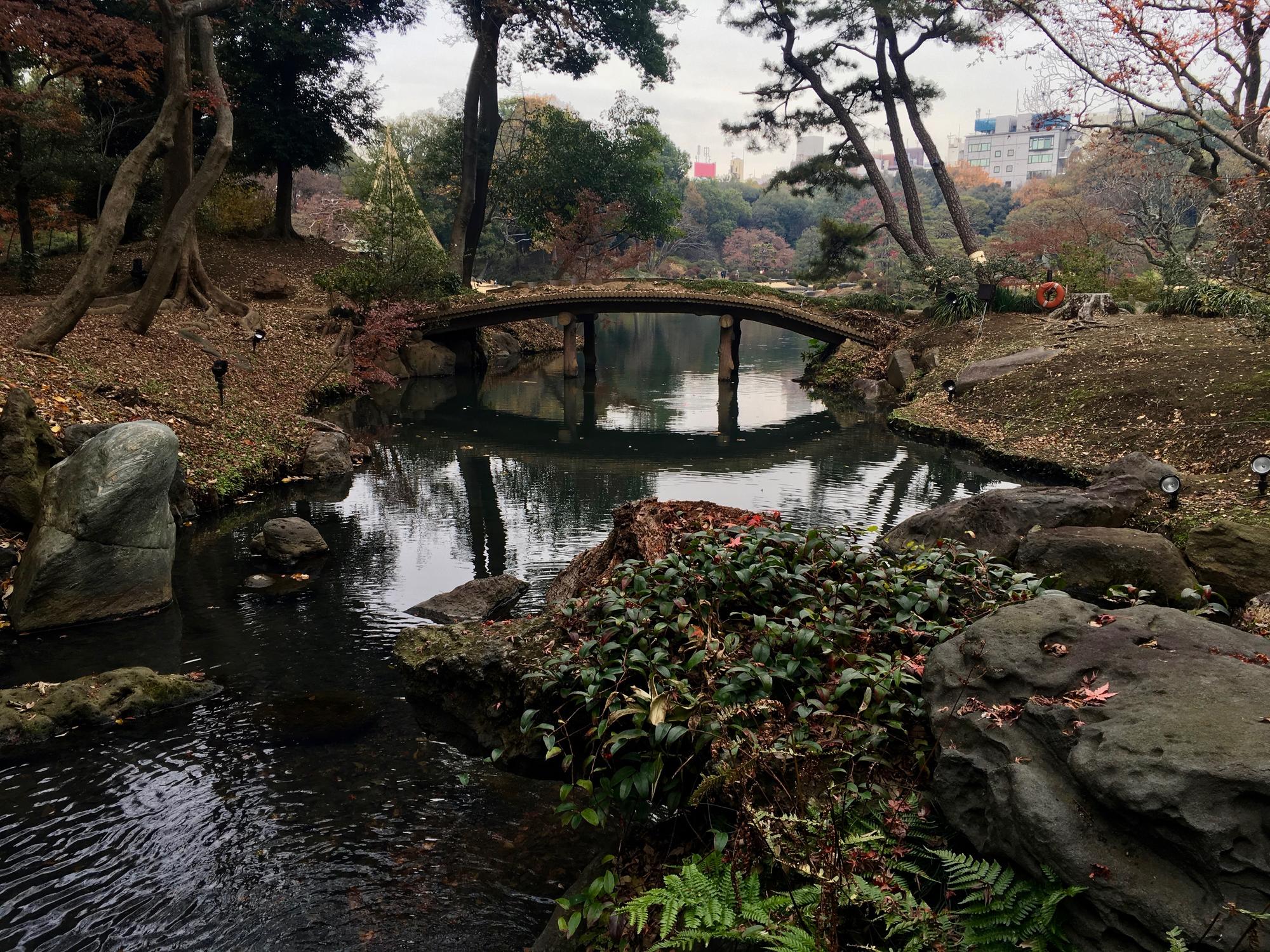 🇯🇵 Токио, Япония, декабрь 2017.