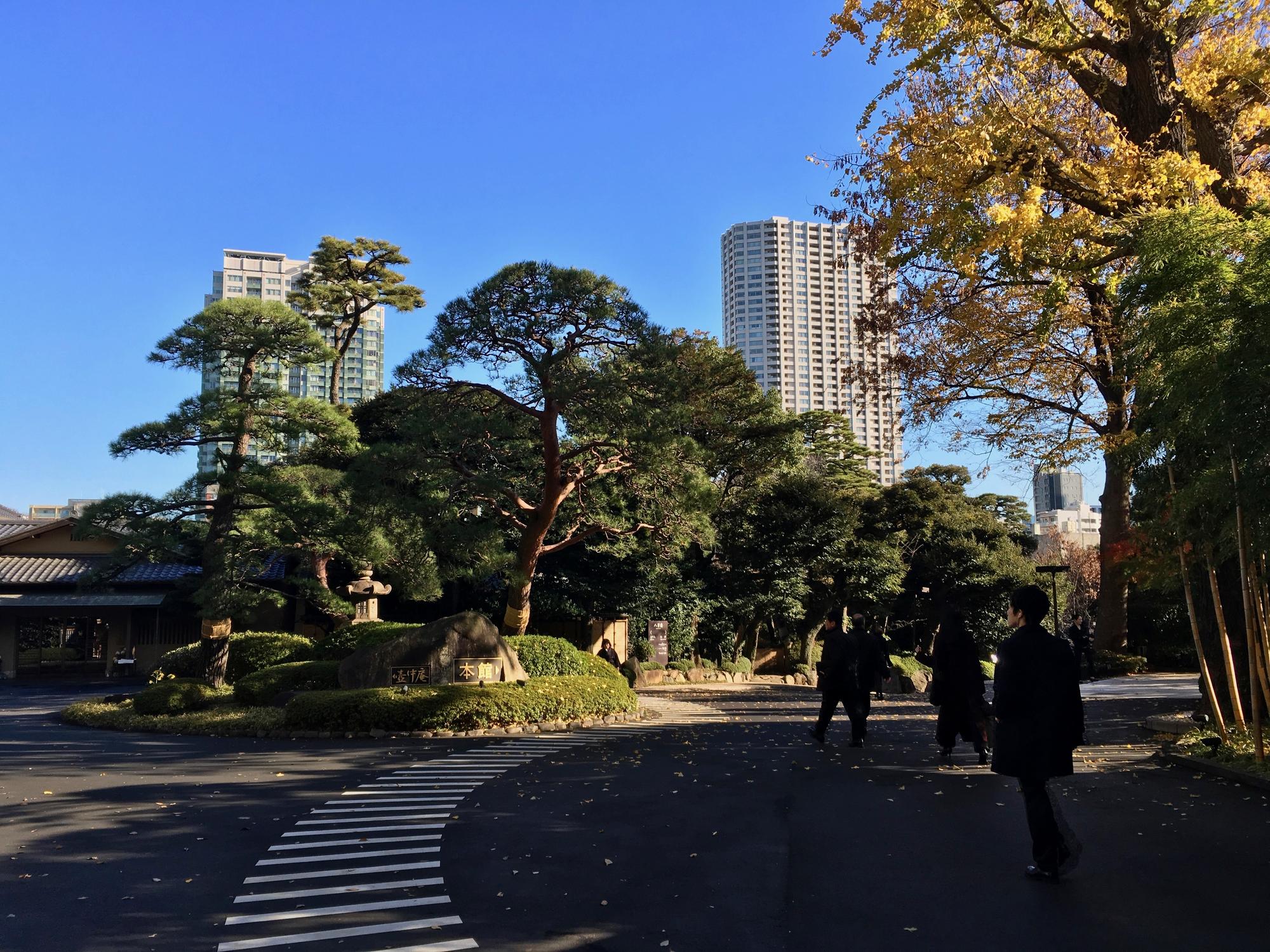🇯🇵 Токио, Япония, декабрь 2017.